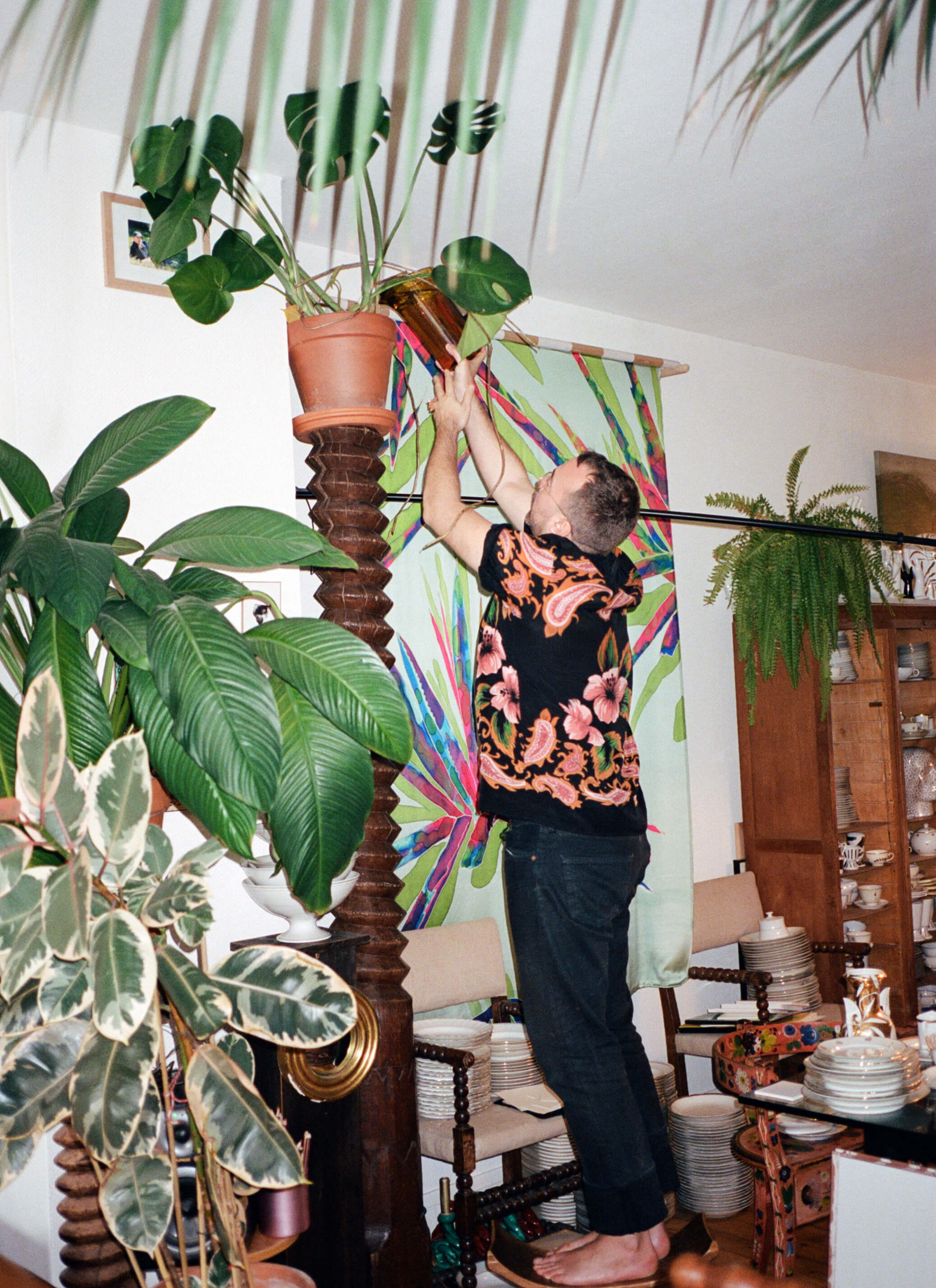 Arnold stood on the chair trying to water the monstera sits on the top of the pillar. There are some other plants in the room as well while there are multiple piles of plates separated in different places around the room.