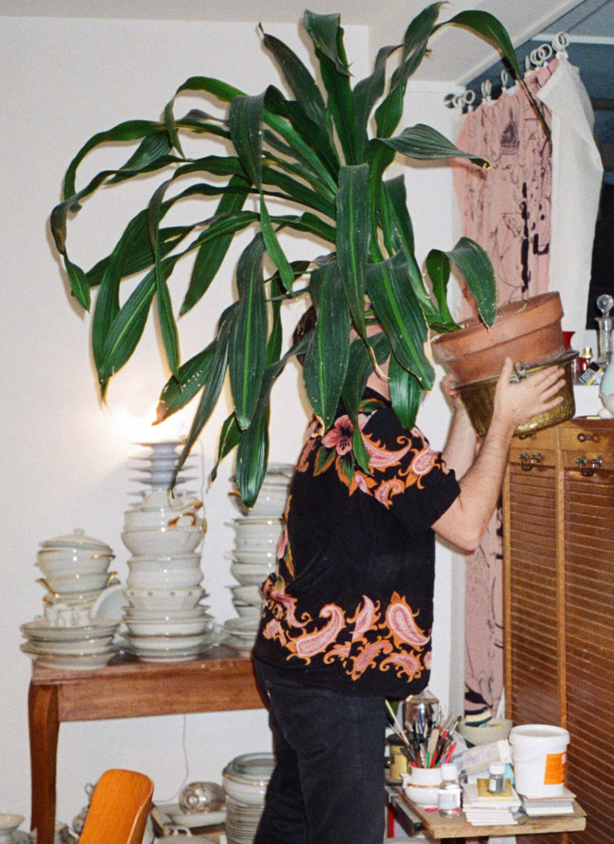 Arnold tried to move a big potted plant back to the spot on the top of cabinet. There are many items separately sit on different tables, including piles of bowls, plates and pots. 