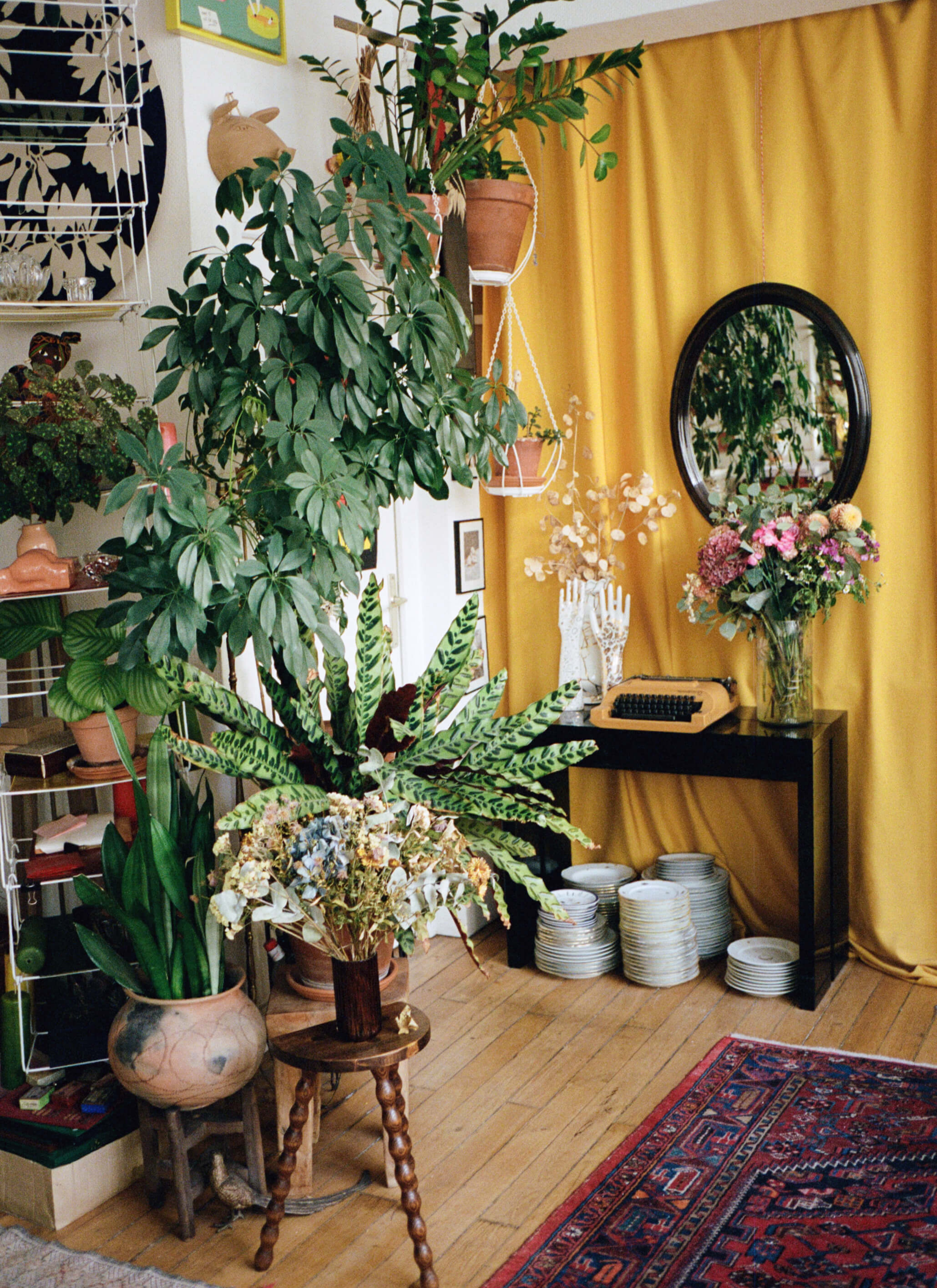 Loads of different kind of house plants in the room. Rattlesnake plant, Calathea, Umbrealla tree, Begonia, Snake plant and more. There a vase filled with a bundle of flowers on the desk next to a round mirror hung on the wall with yellow curtains.