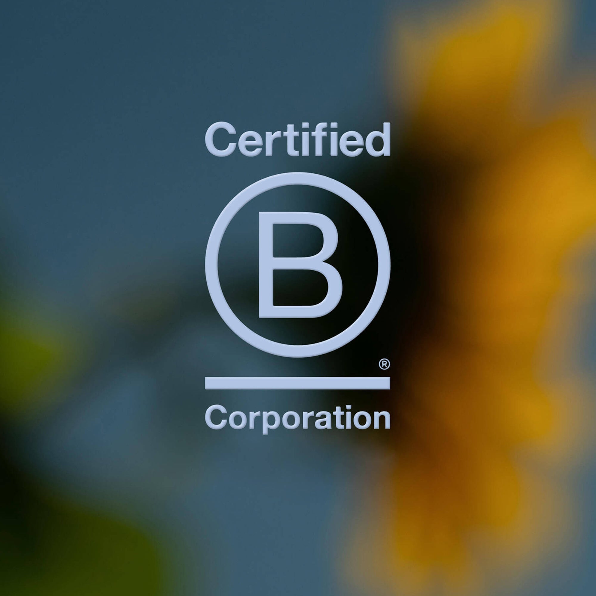 A blurred sunflower in front of blue sky with the B Corp certification logo in front of it.