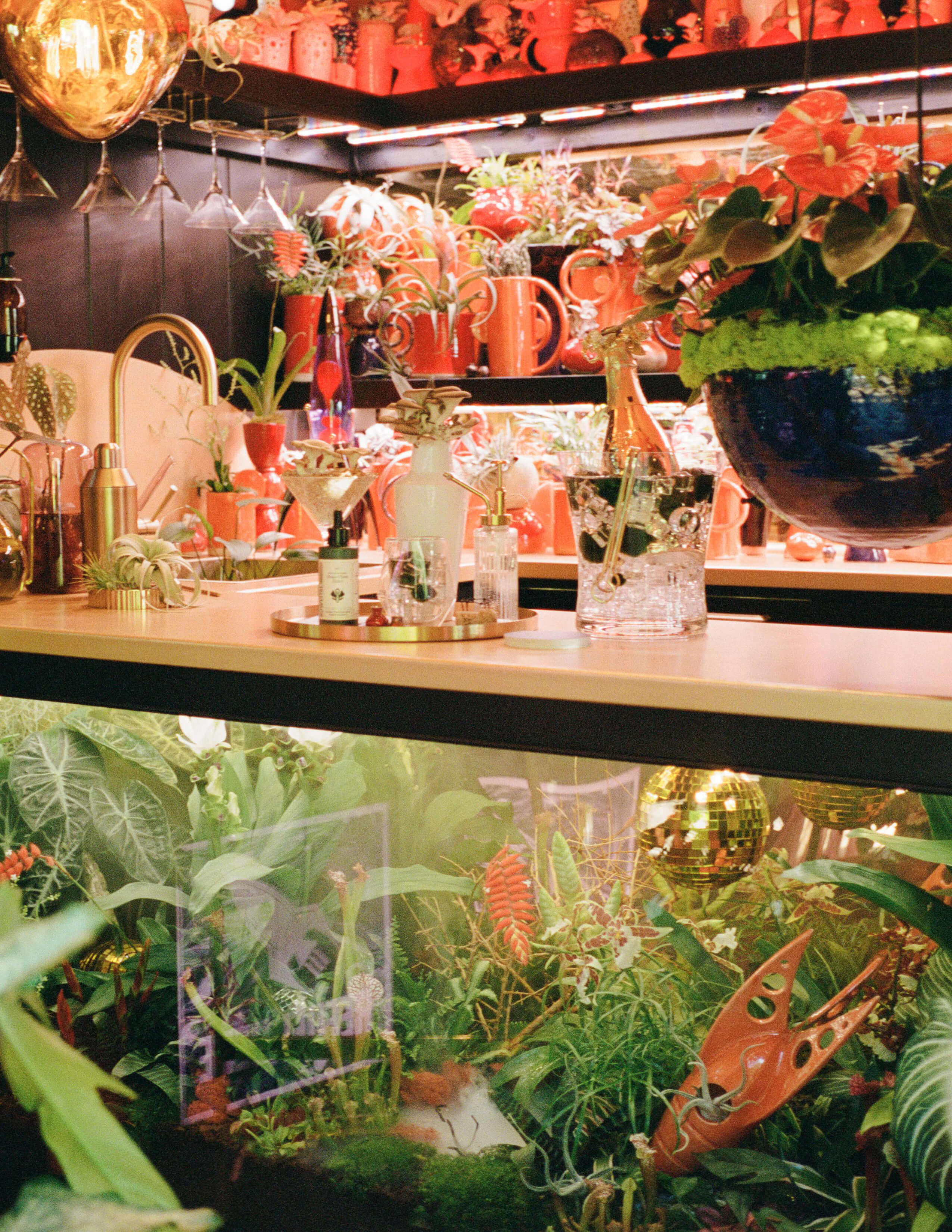 A collection of different kinds of plants in different vases filled up the whole shelf. A bottle of Sowvital house plant product on a golden tray next to various kinds of glassware on the table and there was a bottle of champagne in a glass bucket above the vivarium-like glass box that was filled with different kinds of plants.