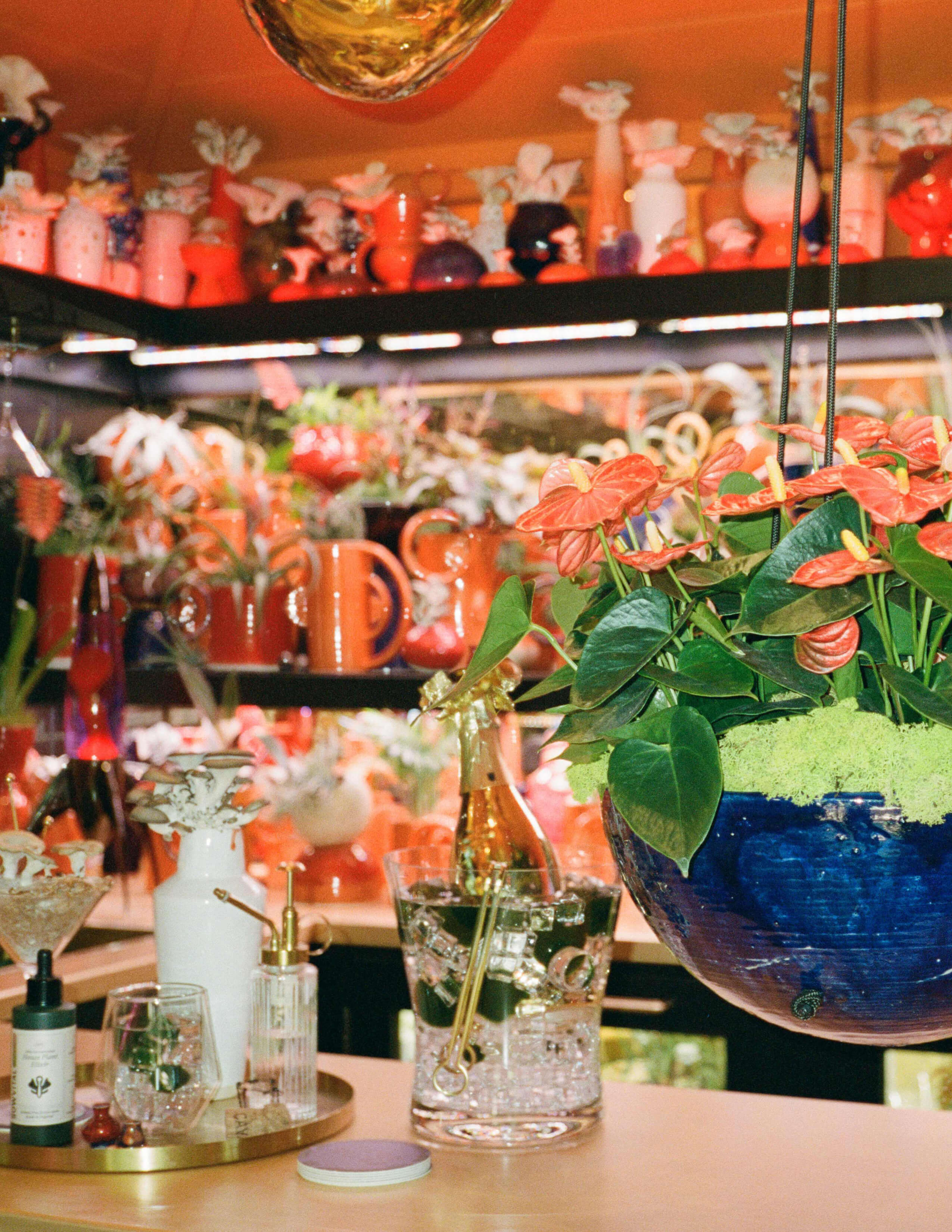 A collection of different kinds of plants in different vases filled up the whole shelf. A bottle of Sowvital house plant product on a golden tray next to various kinds of glassware on the table and there was a bottle of champagne in a glass bucket.