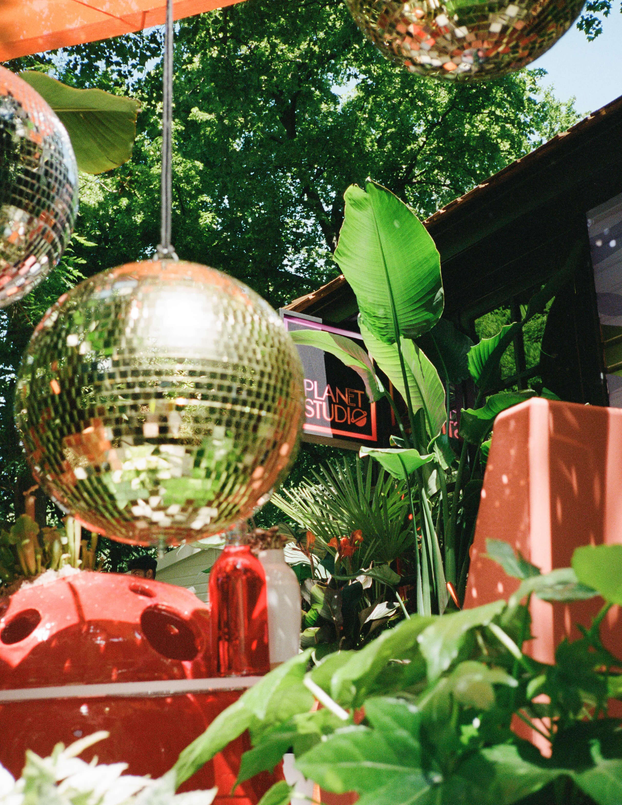 A disco ball is surrounded by various kinds of plants while the shop sign is in the distance.