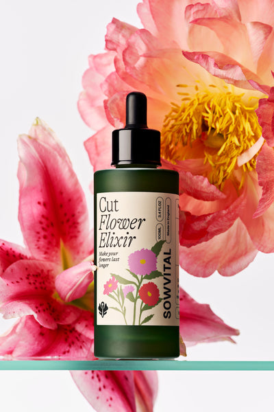 Cut Flower Elixir