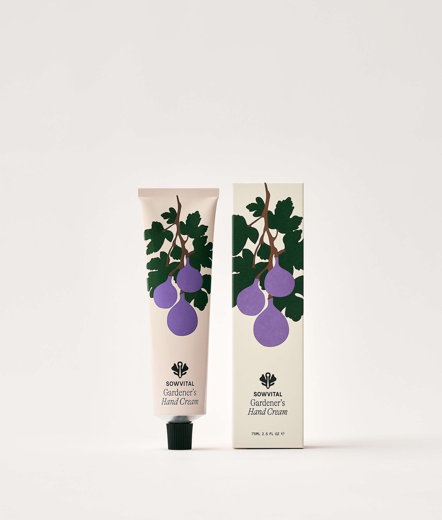 The Fig Tree
