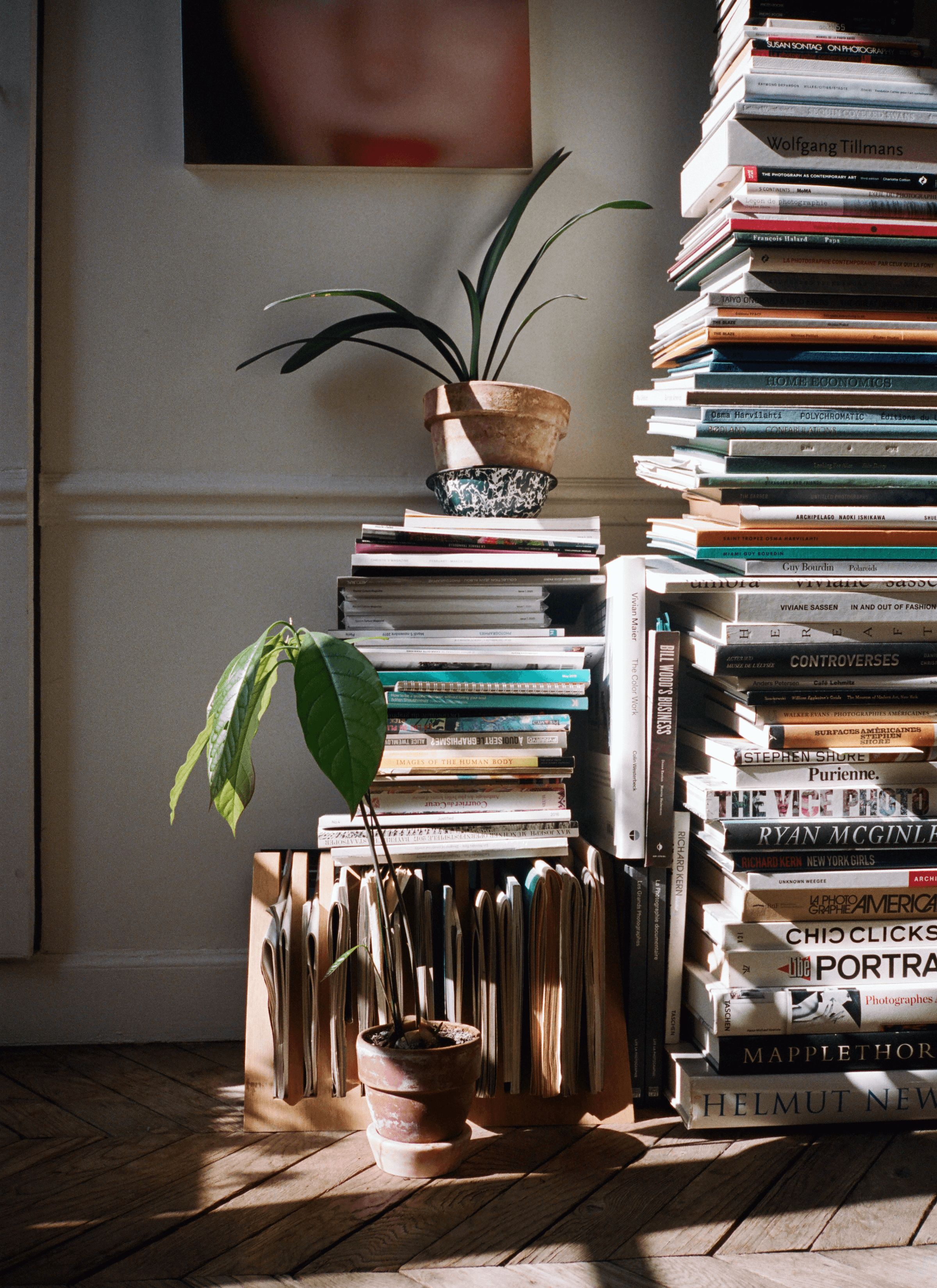 Stacks of books leaning on the wall while a pot of plant sits on the top of it and another pot nearby.