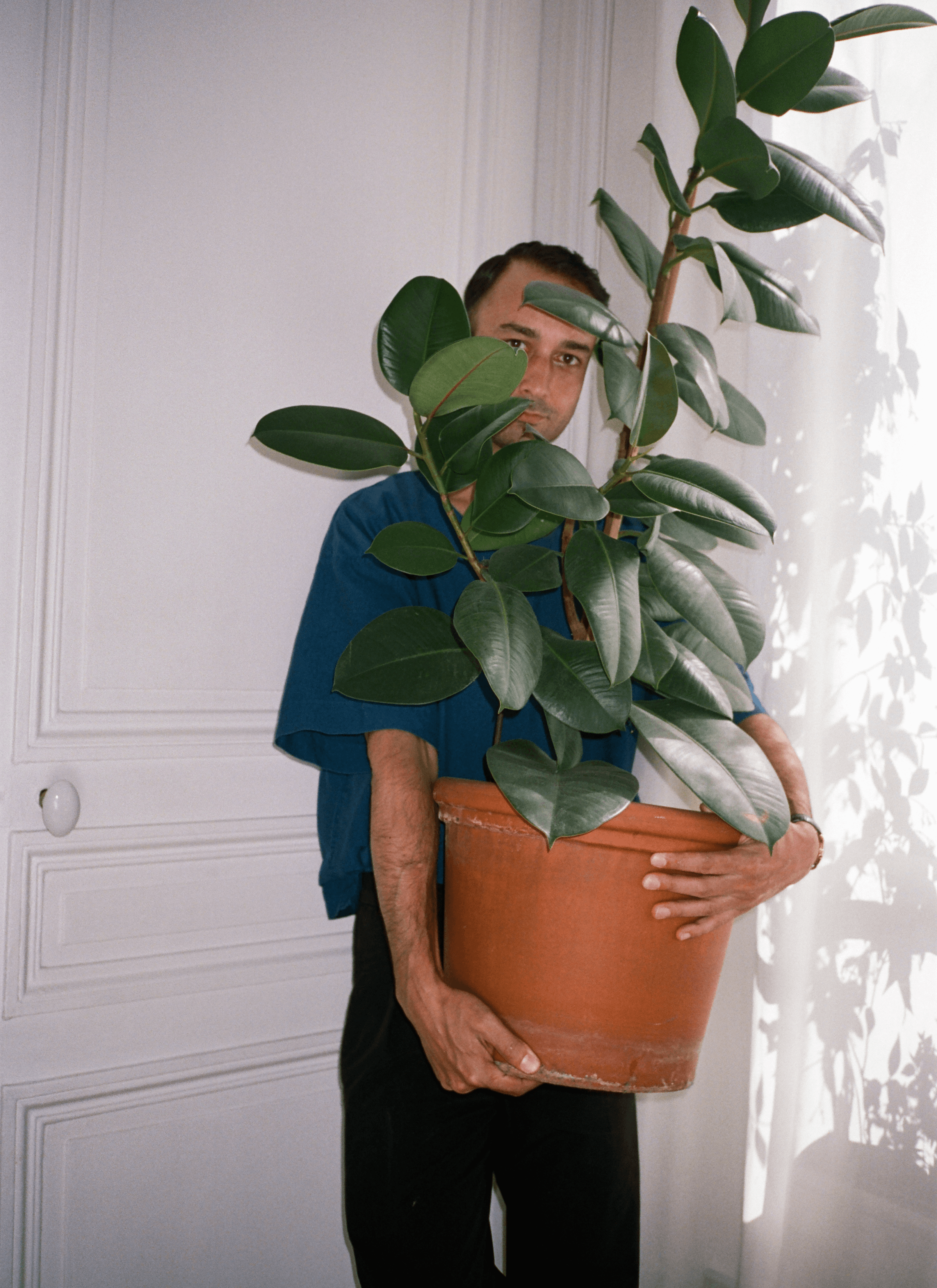 Fred holding a big potted rubber fig in front of him while he stood in the corner of the space with white walls behind. 