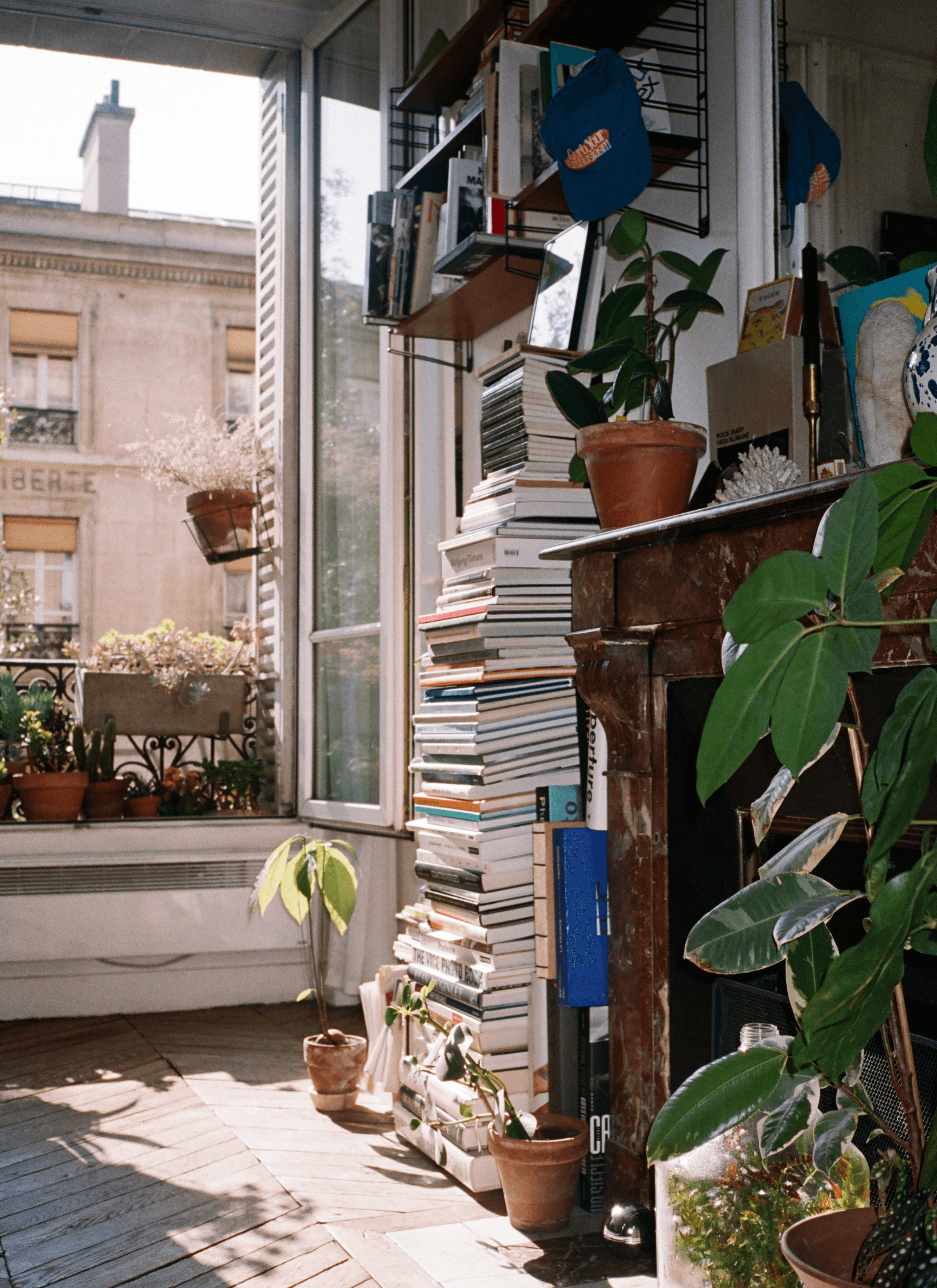An indoor space filled with a big stack of books next to a fireplace, a wall shelf full of books and a collection of different kinds of potted plants surrounded the place while a big window was opened.