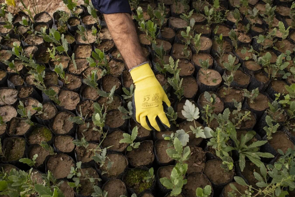 Une planète plus verte*