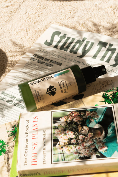 The Sowvital Aqua Leaf Cleanser laying on its side in the dappled sun on a soft beige carpet, alongside house plant care books and posters.