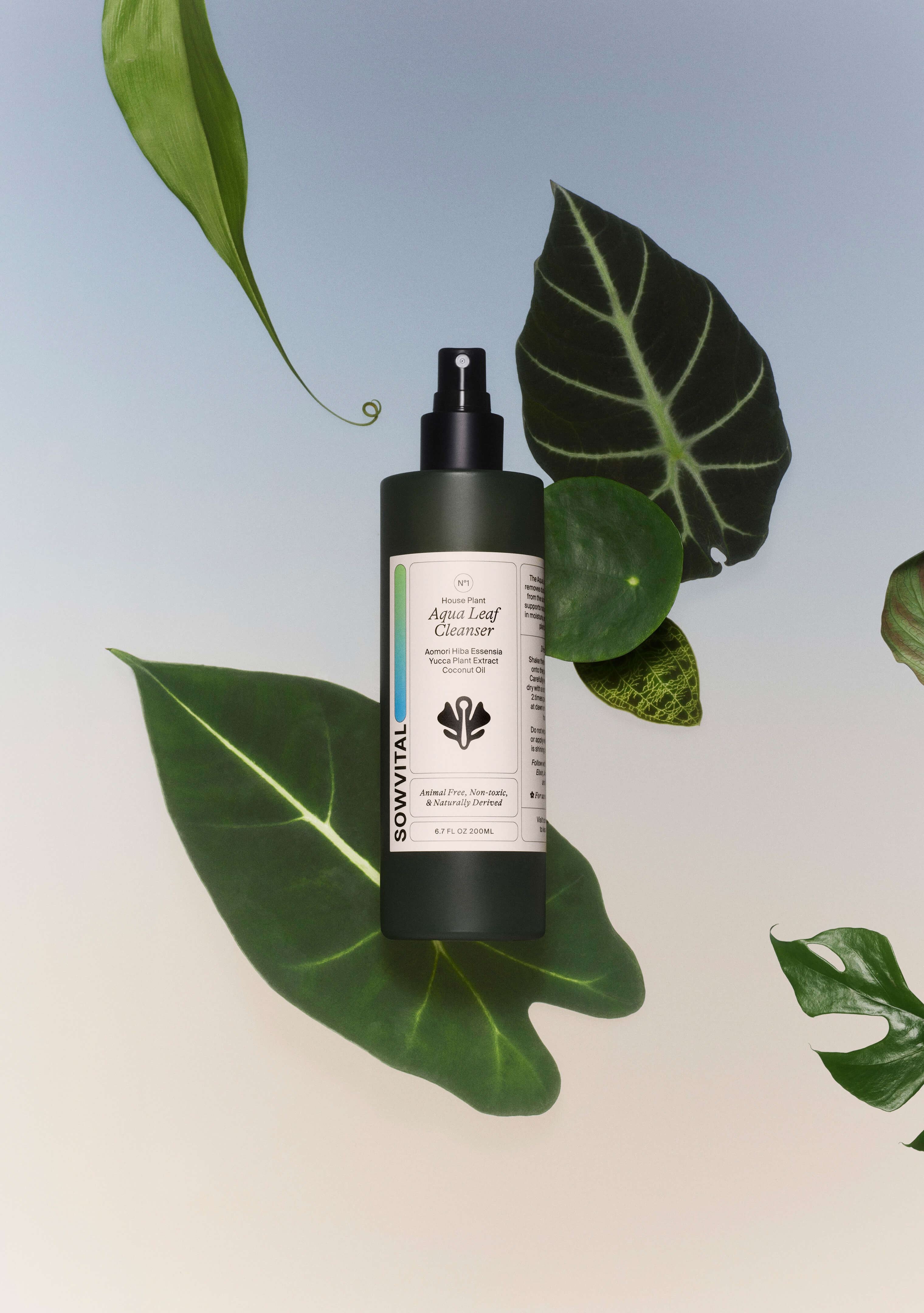 An image of the House Plant Aqua Leaf Cleanser floating amongst lush plant leaves. The bottle is 200ml in size, green glass with a spray top, and has a beige label. The background is a soft blue to beige gradient.