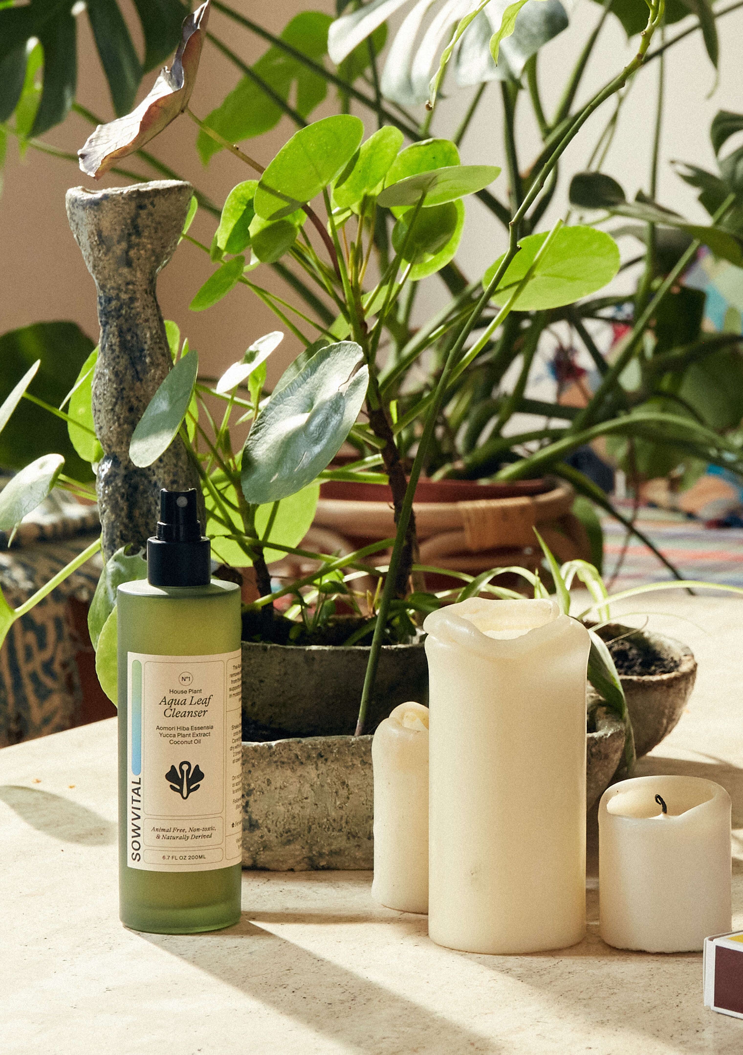 The House Plant Aqua Leaf Cleanser, a 200ml green glass bottle with a spray top and a beige label, sat on a coffee table in a curated home. There are candles alongside the Aqua Leaf Cleanser in the foreground and there is a pilea and monstera in the background.