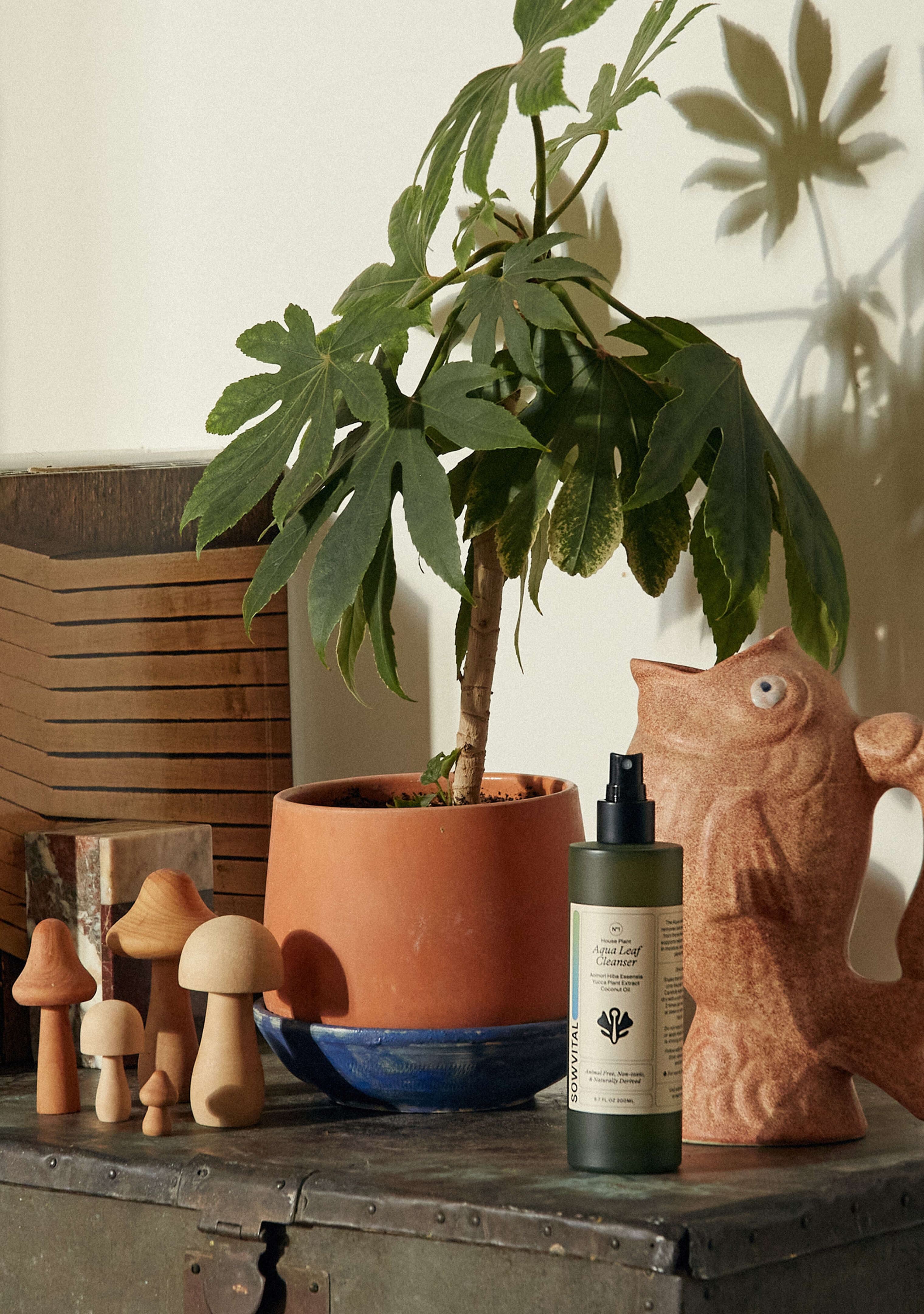 The House Plant Aqua Leaf Cleanser sat on a side unit, surrounded by quirky homewares. The bottle is 200ml green glass with a beige label and a srpay top.  Behind it, there is a terracotta jug in the shape of a fish, a potted plant, and a collection of carved wooden mushrooms.