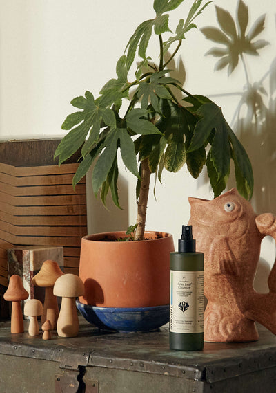 The House Plant Aqua Leaf Cleanser sat on a side unit, surrounded by quirky homewares. The bottle is 200ml green glass with a beige label and a srpay top.  Behind it, there is a terracotta jug in the shape of a fish, a potted plant, and a collection of carved wooden mushrooms.