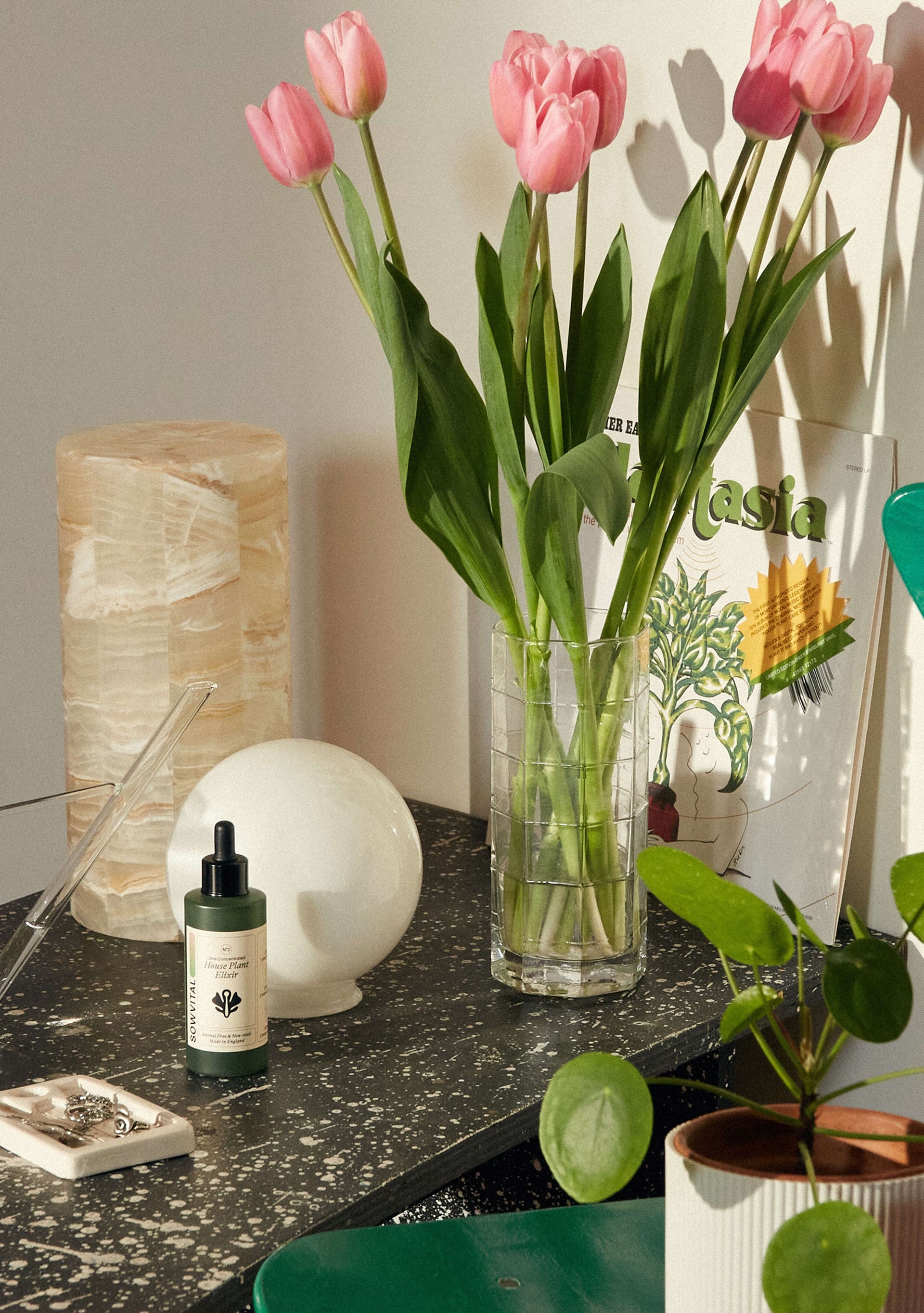 The House Plant Elixir sits on a table surrounded by intriguing homewares. The bottle sits in front of some stone sculptures and next to a vase of pink tulips.