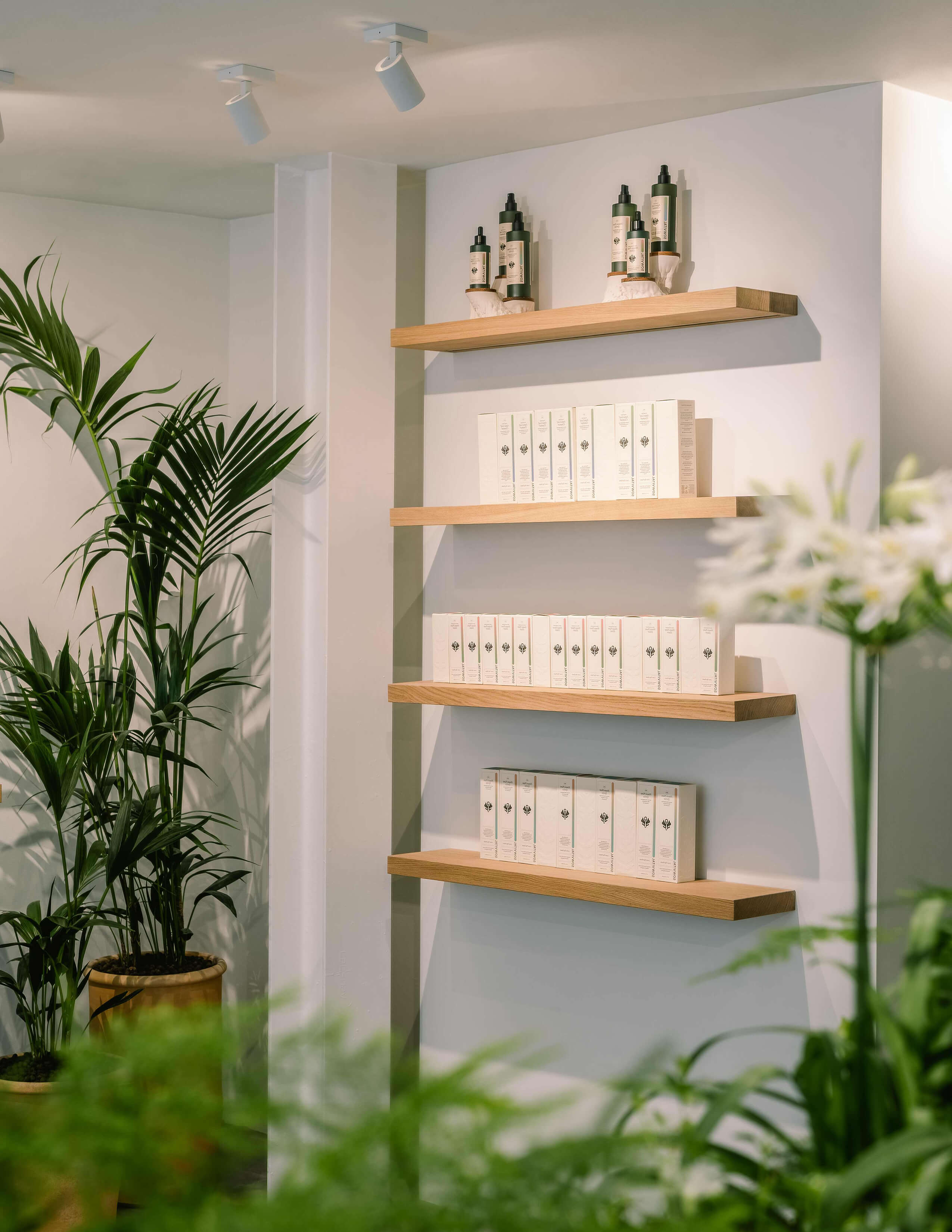 The Sowvital products are presented on the wall shelves while there are some potted plants around.
