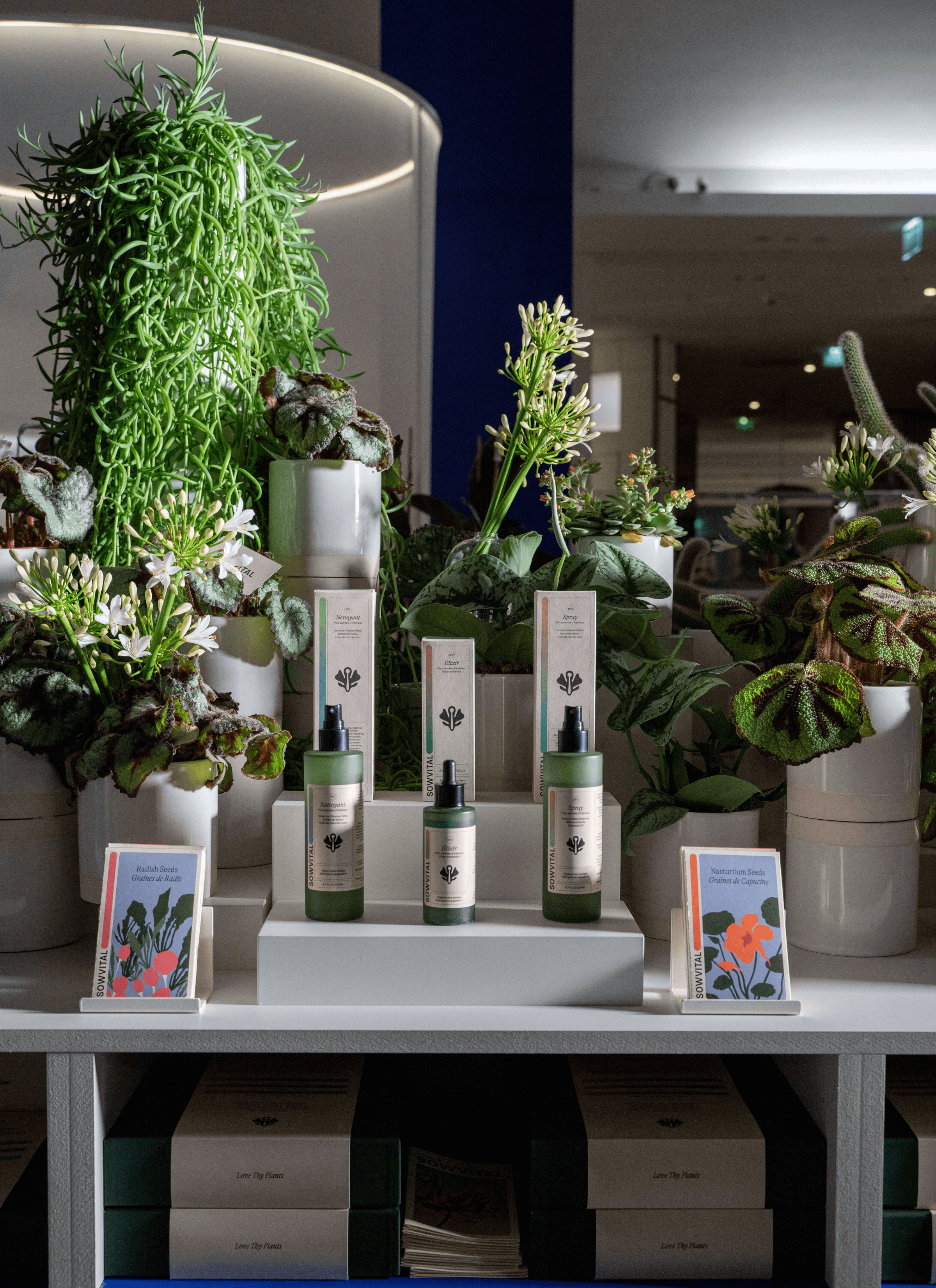 Sowvital's three-step plant care routine is tastefully displayed on the surface, with the packaging neatly arranged. Behind the products, radish and nasturtium seeds packets add a touch of variety and possibility. In the background, a lush assortment of potted plants and flowers serves as decorative accents, enhancing the natural theme of the display. Beneath the surface, the three-step gift set is conveniently stocked, ensuring easy access for customers.