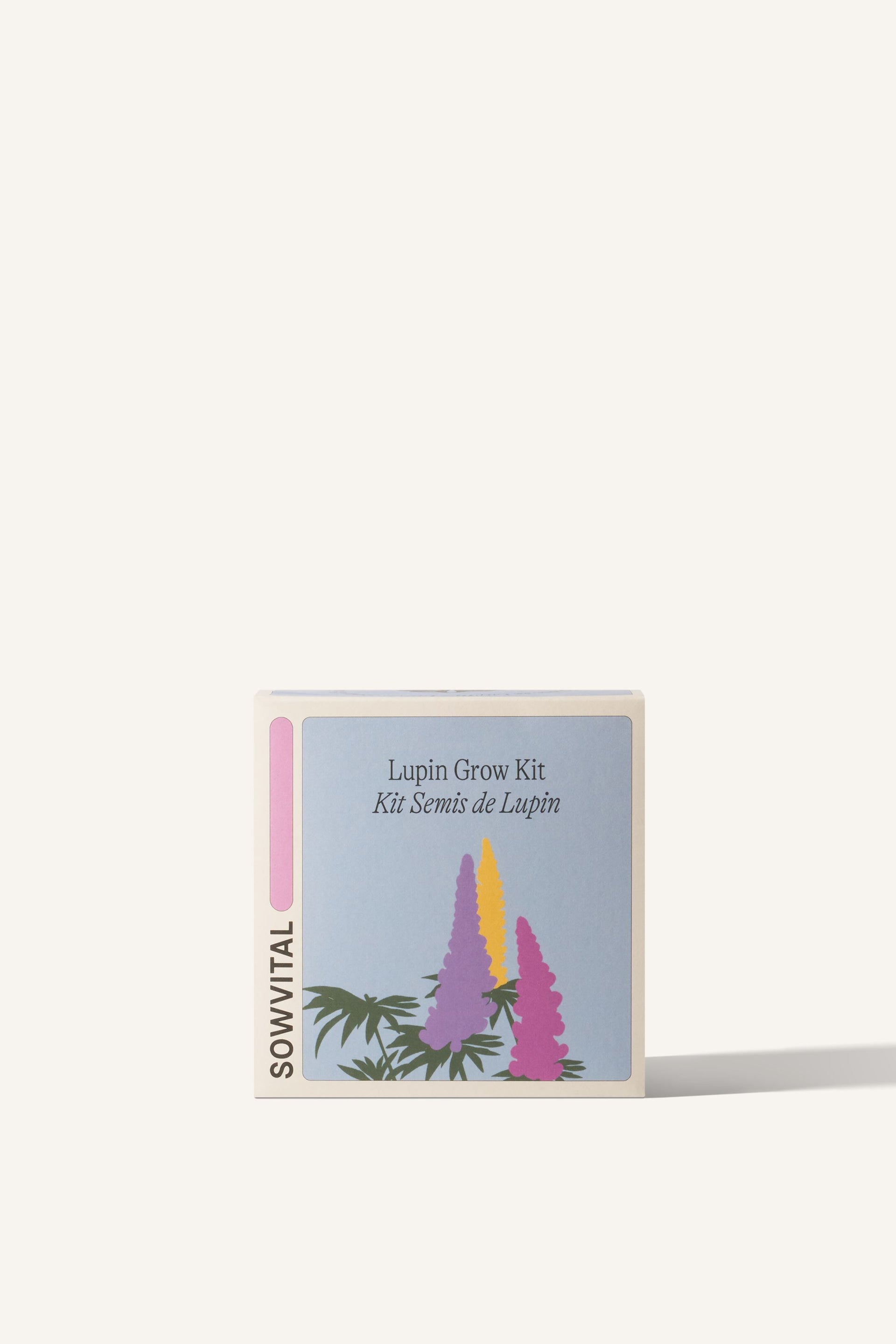 Sowvital's Lupin Seed Grow Kit. A square fedrigoni paper box with a playful illustration of lupin on the front. The background is beige.