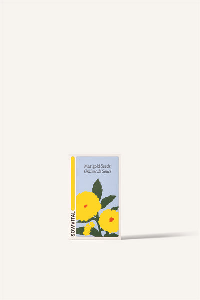 Sowvital's Marigold Seeds. A rectangular fedrigoni paper box with a playful illustration of marigold on the front. The background is beige.