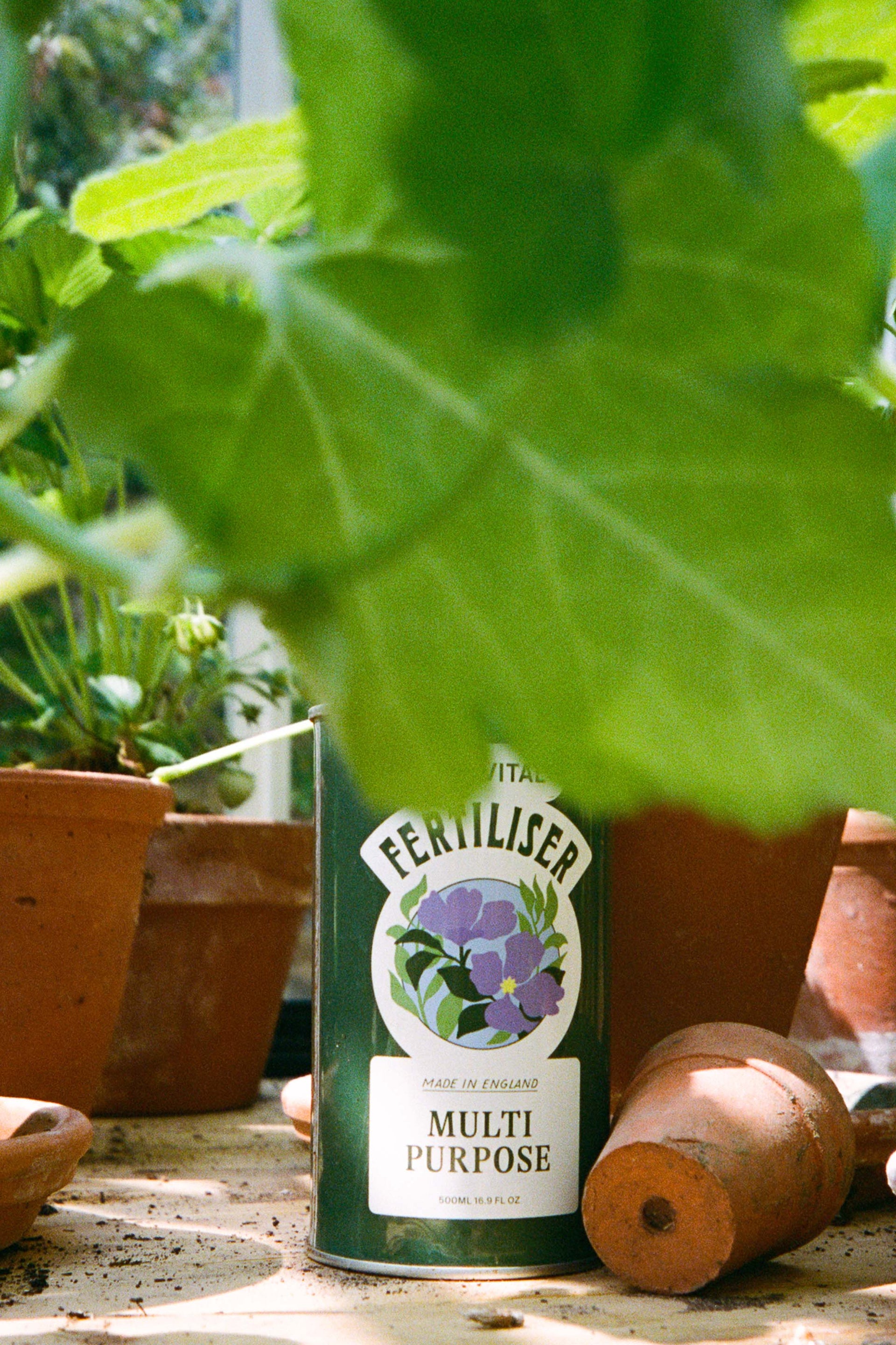 A tin of Sowvital's Multi Purpose fertiliser sits on a bench in a greenhouse, surrounded by small potted plants in terracotta pots. A leaf obscures the top half of the image.