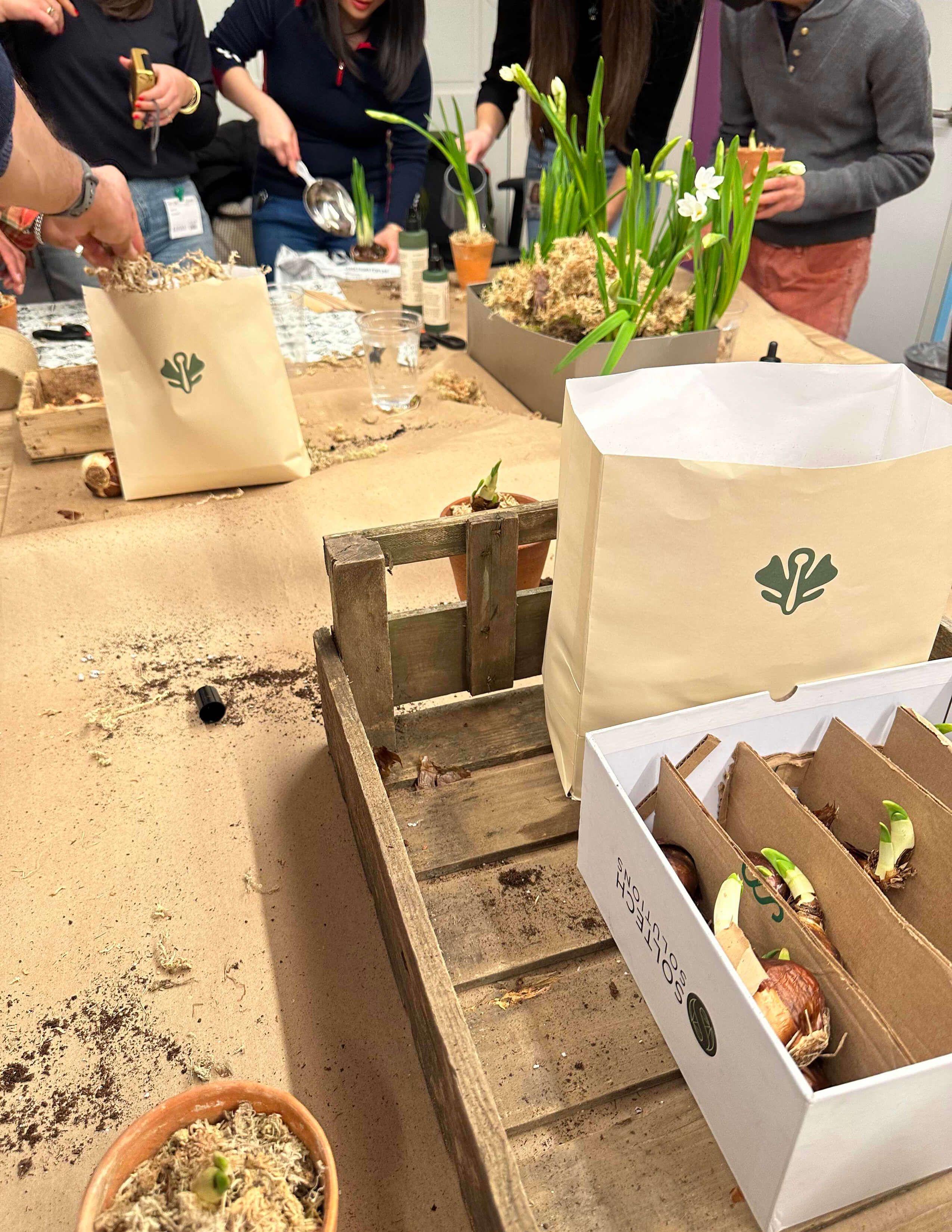 Plant seeds in cardboard boxes inside a wooden box and there are paper bags labelled with Sowvital’s logo on it.