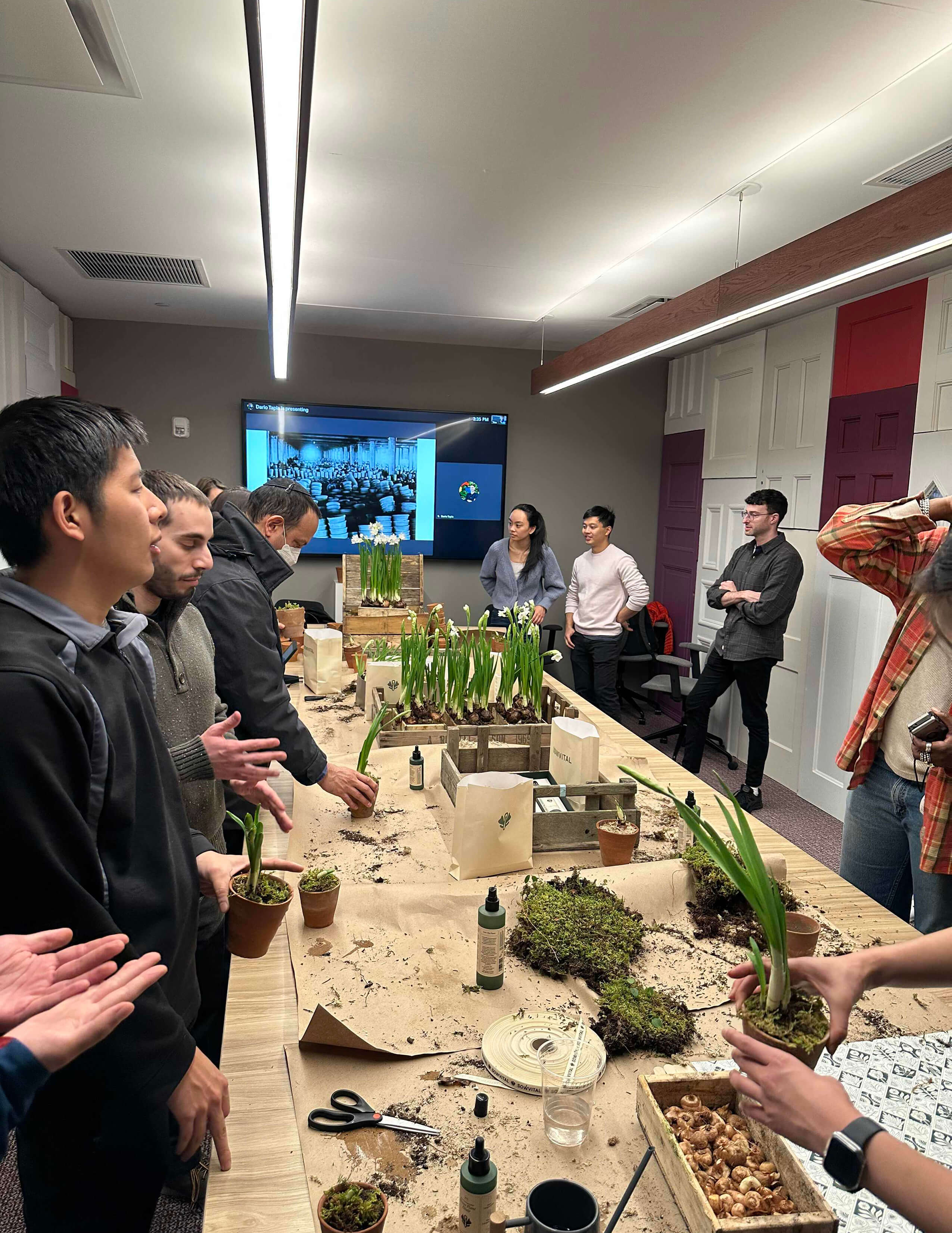 A group of people standing around the table to participate in plants growing workshop in the meeting room. Plenty of plants and materials on the table.