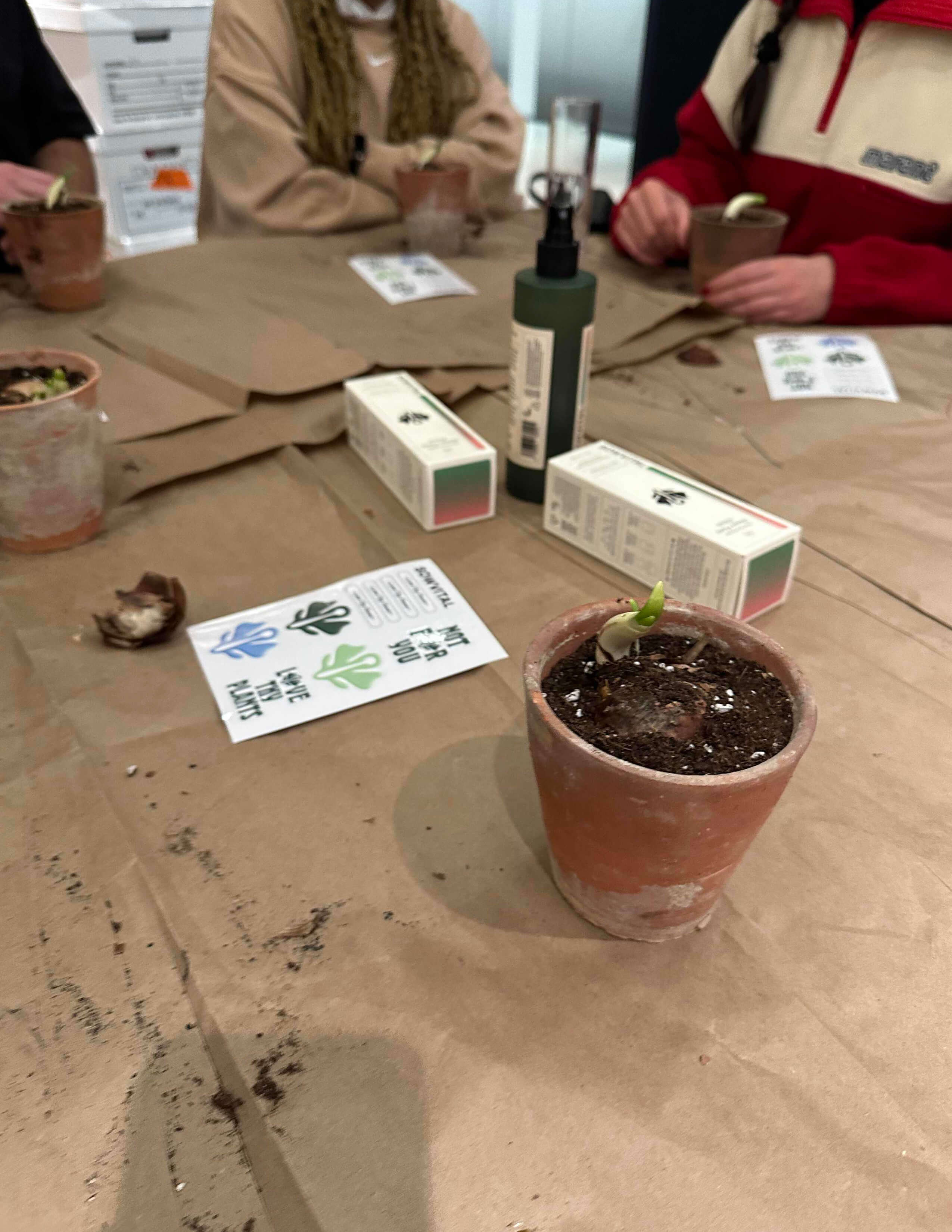 Plenty of plants are grown in terracotta pots, while there are Sowvital’s house plant products and stickers around on the table.