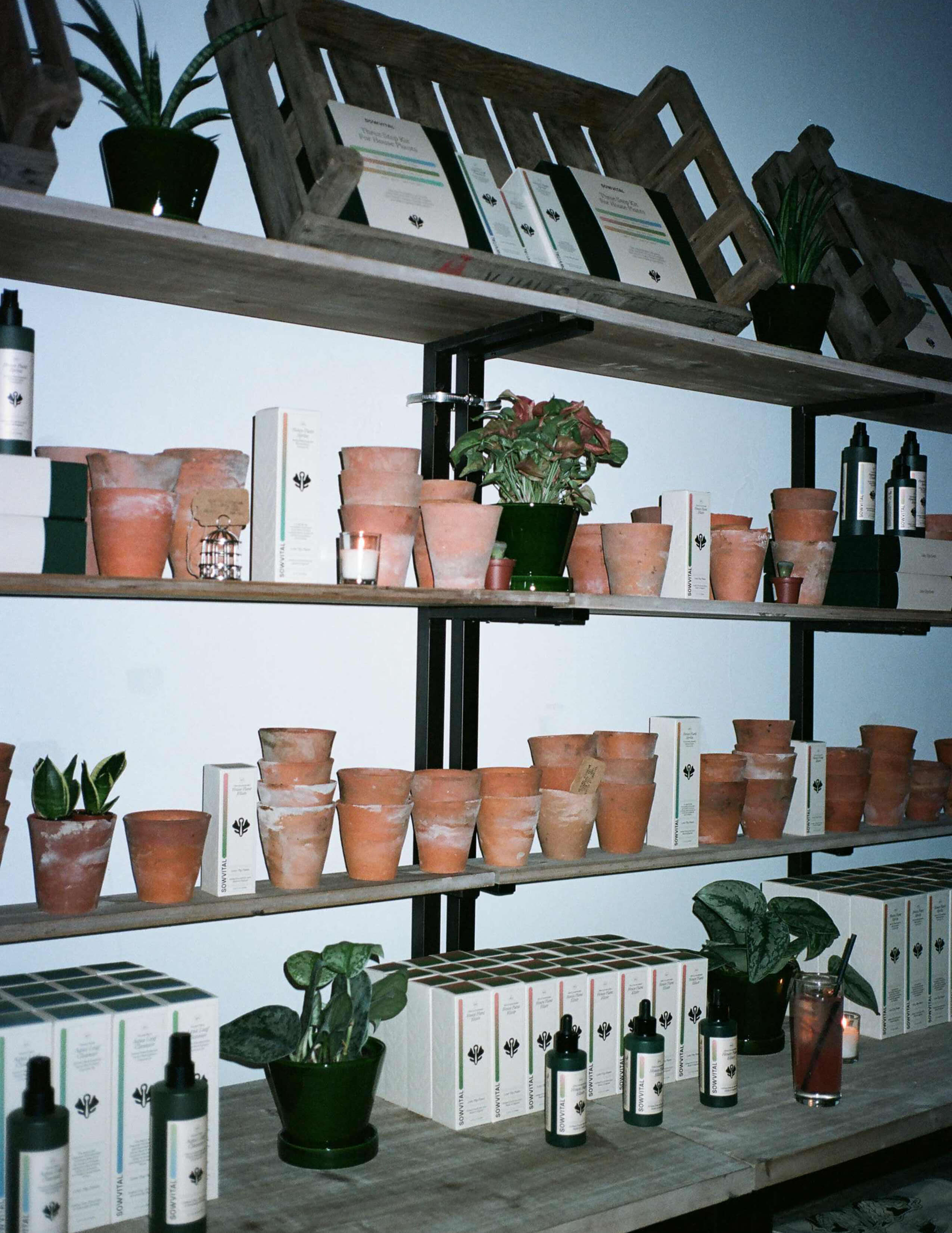 A collection of Sowvital house plant products, with and without packages are displayed with different kinds of plants and terracotta pots on the layered shelf.