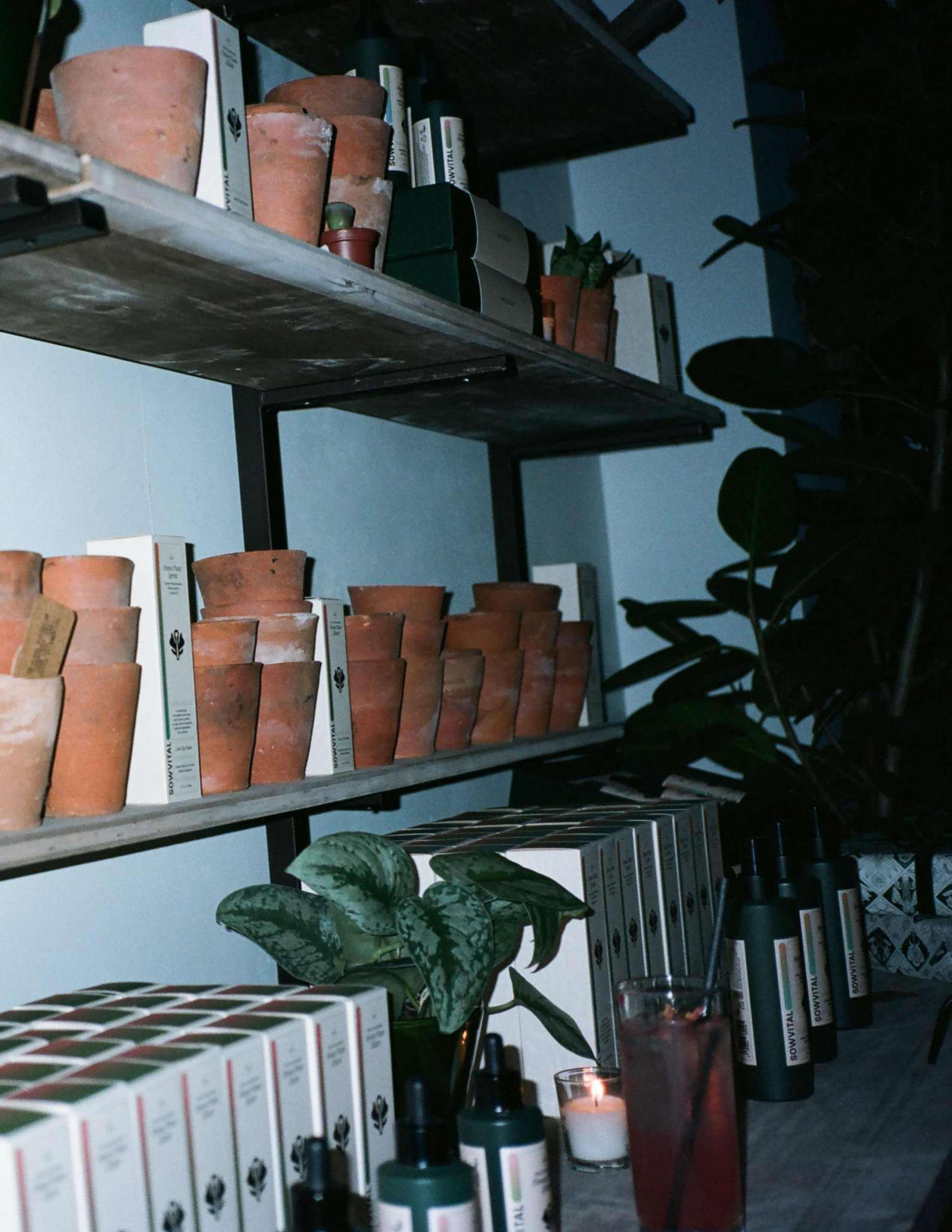 A photograph of a shelf of Sowvital house plant products in a dark mode.