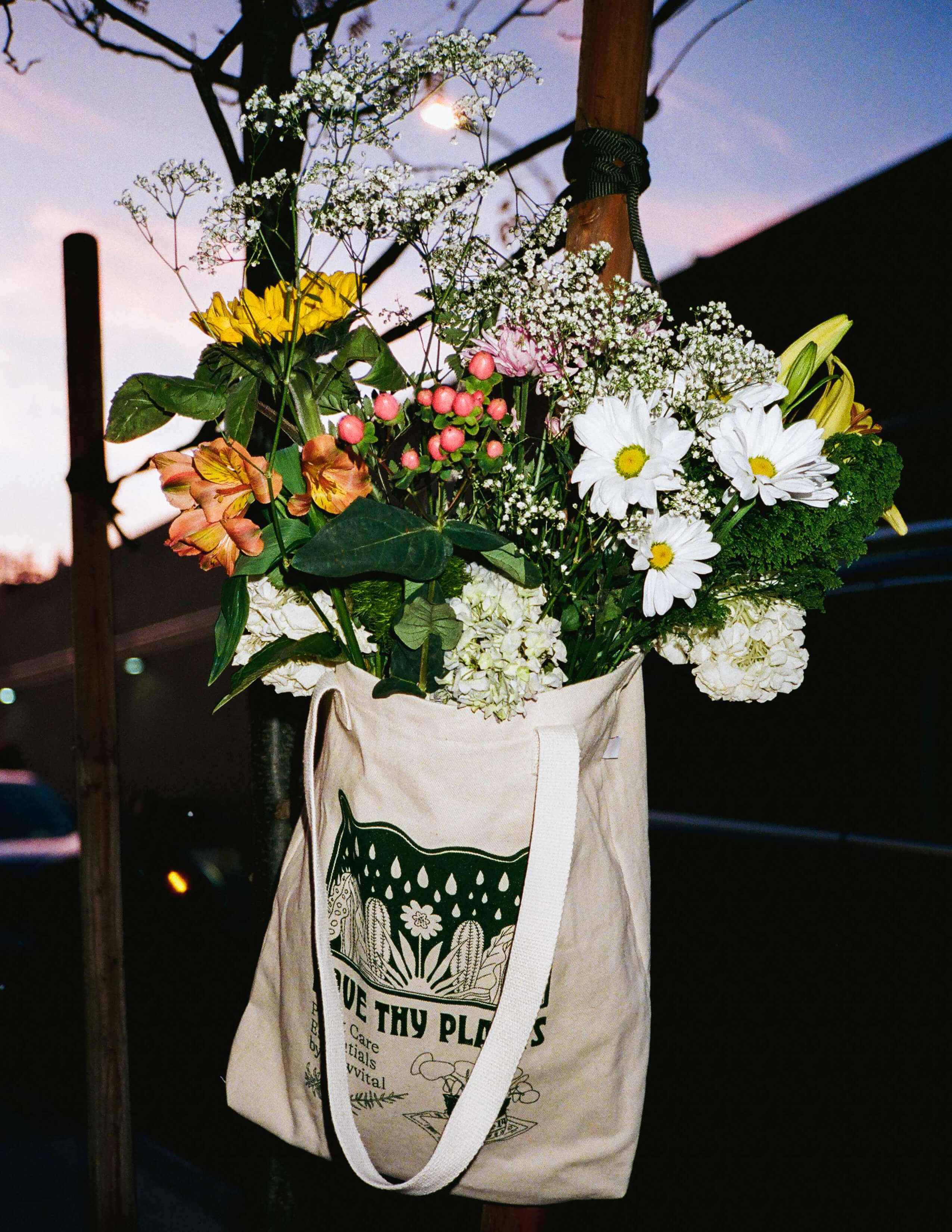 A collection of bouquets in the Sowvital - ‘Love Thy Plants’ tote bag hung on a stick.