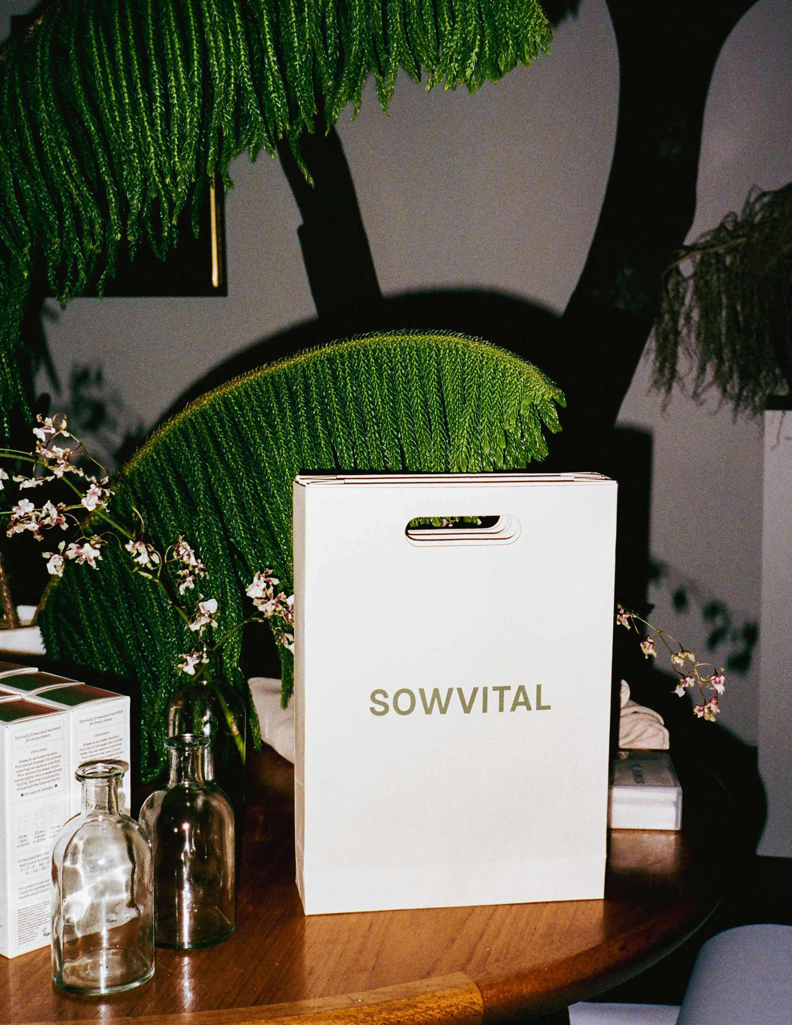 A gifting bag labelled with Sowvital next to glass bottles, house plant products and some plants, and flowers on the wooden table.
