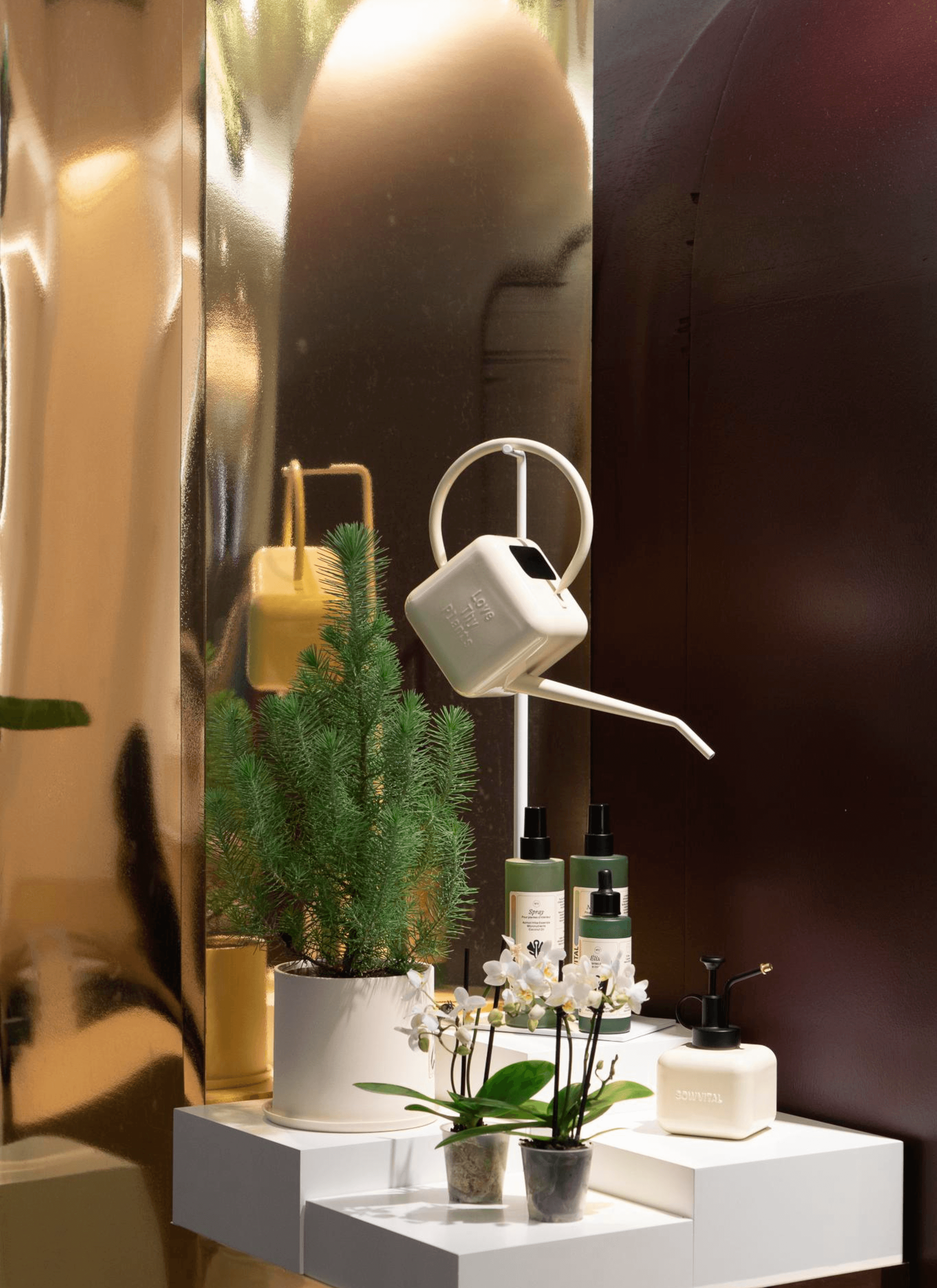 Sowvital beige watering can, along with house plant fertilizers and a beige mister, hung up on display. Nearby, a potted plant sits alongside two pots of white orchids as part of the decorations..
