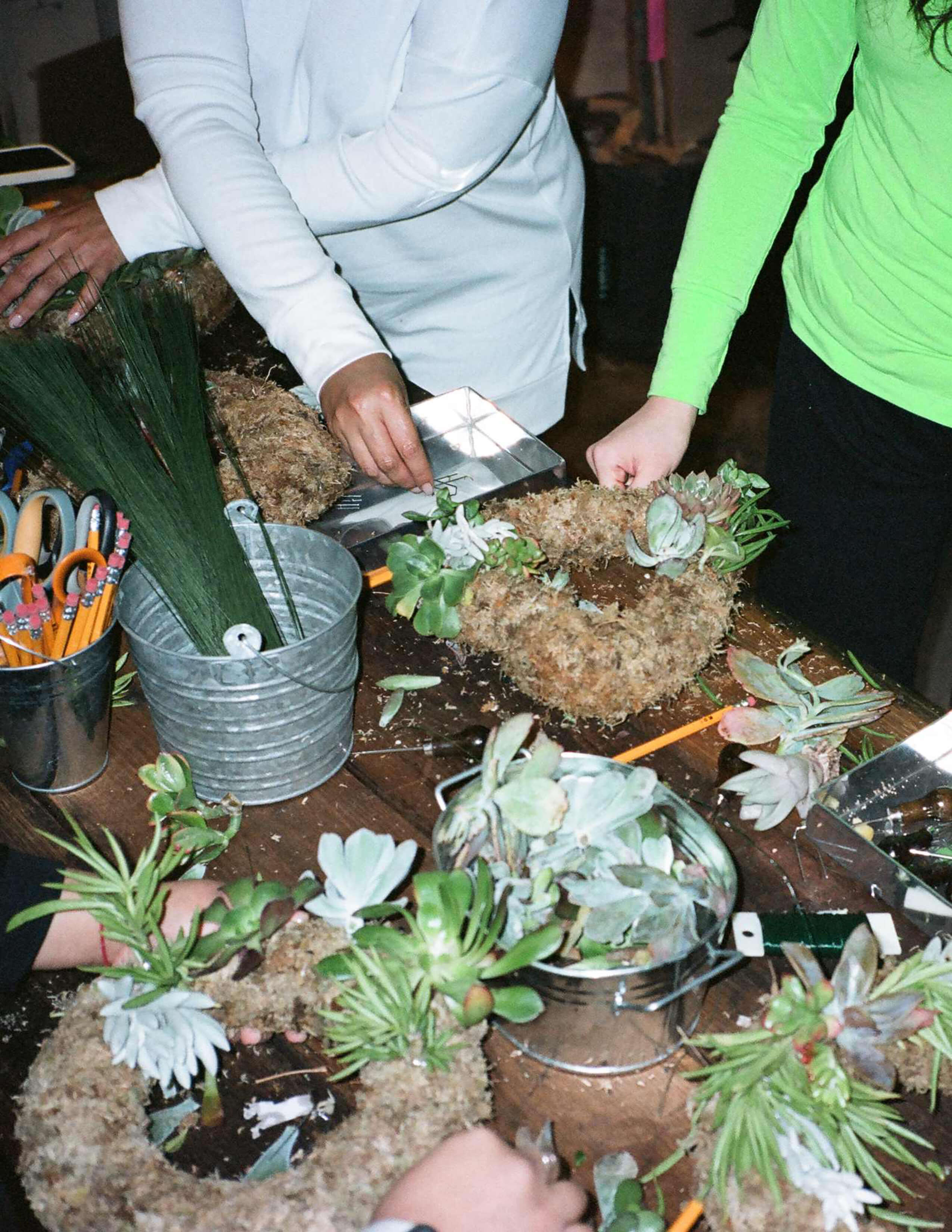 Creating wreaths with a collection of different kinds of succulents and tools on the table.