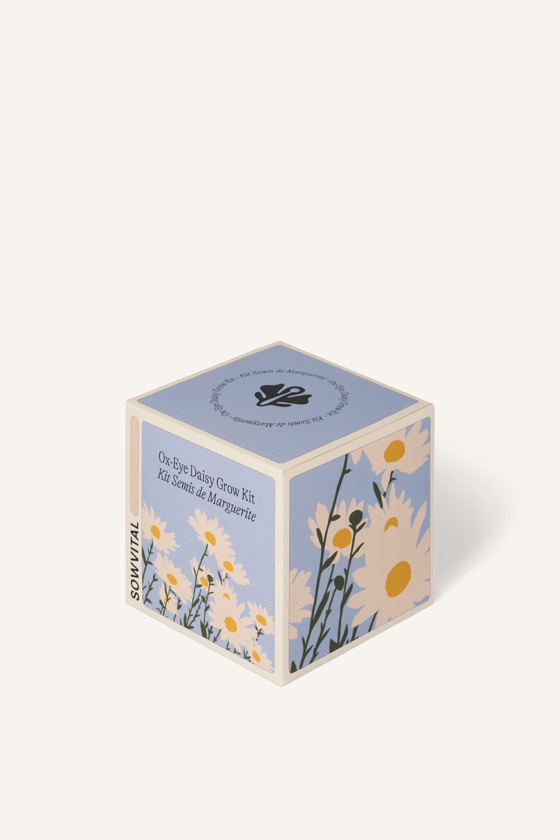 Sowvital's Ox-Eye Daisy Seed Grow Kit from a corner angle. A square fedrigoni paper box with a playful illustration of daisies on the front and sides. The background is beige.