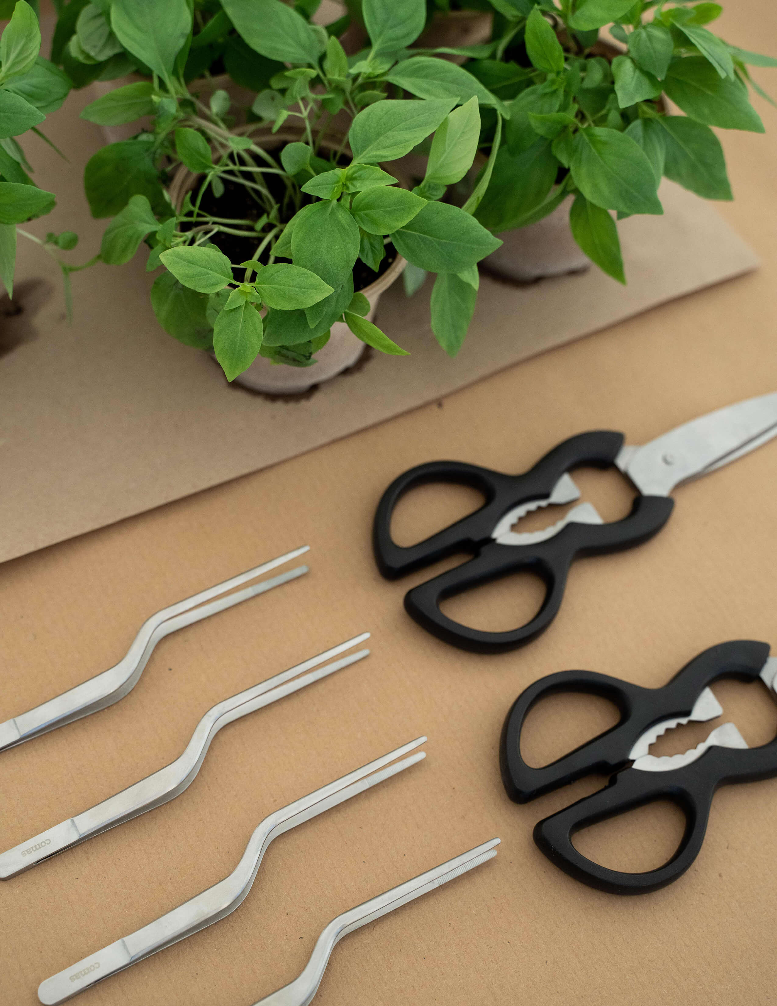 4 stainless long tweezers, kitchen shears with many pots of herbs on the table.