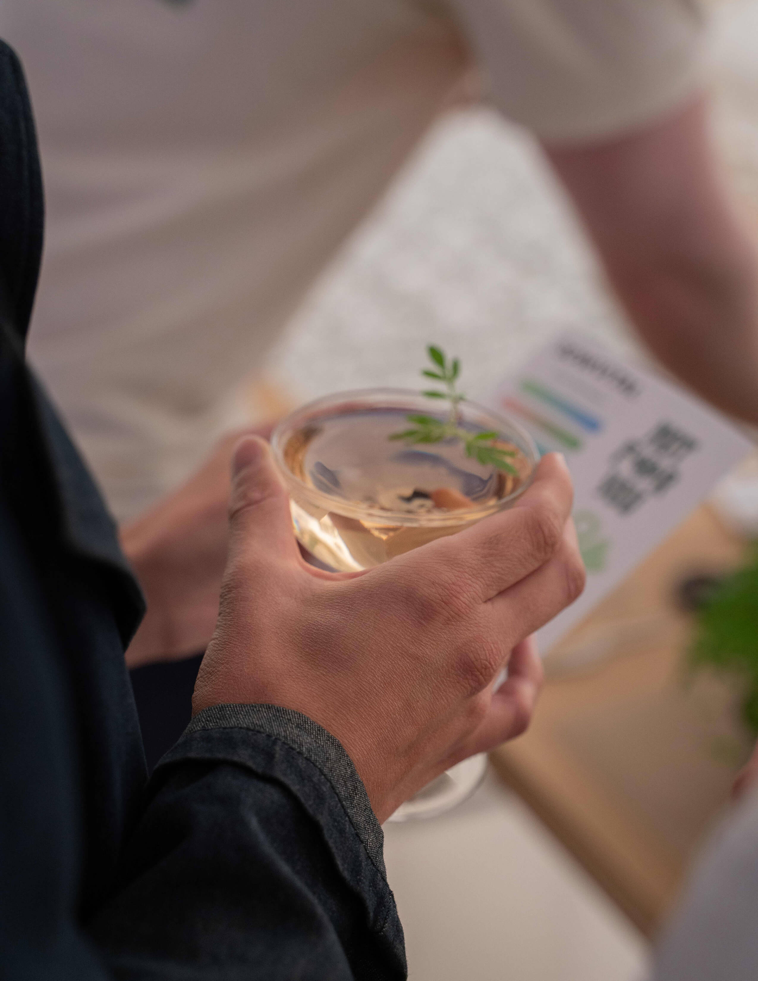 A person holds a glass of water with a small plant in it.