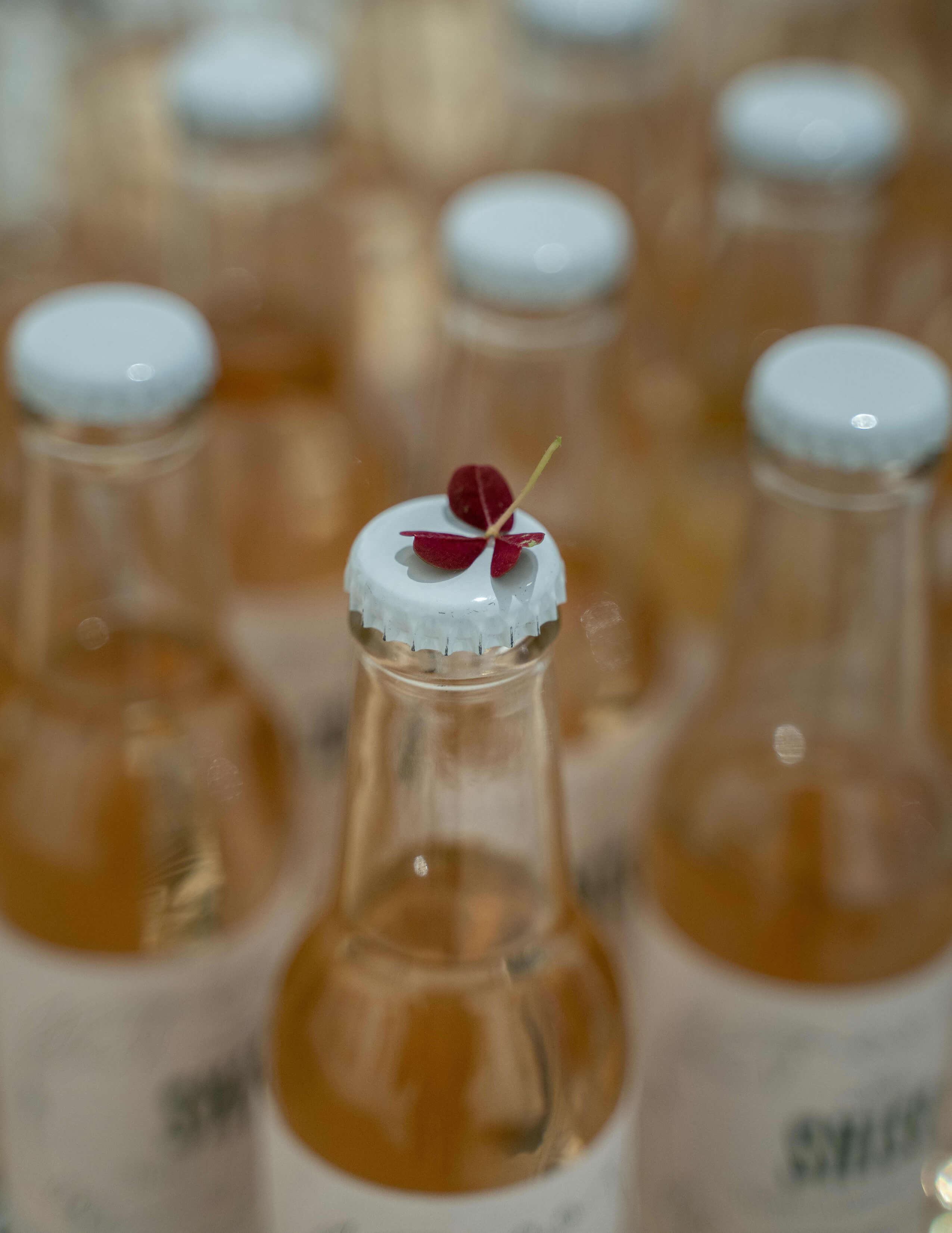 A photograph of a small 3-piece-red leaves plant laying on one of the caps of alcoholic bottles.