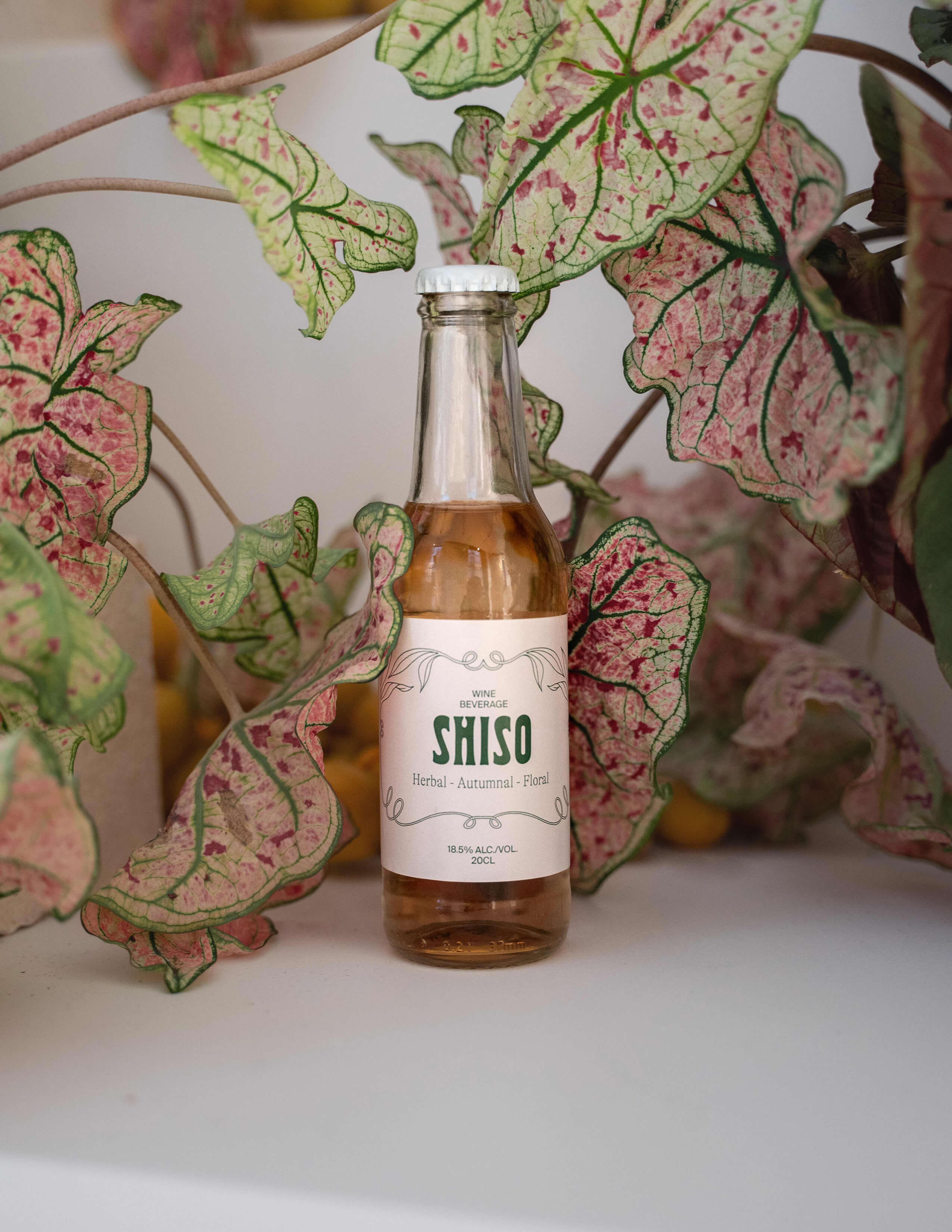 A bottle of alcoholic drink with a Shiso label surrounded by Elephant ears plants.