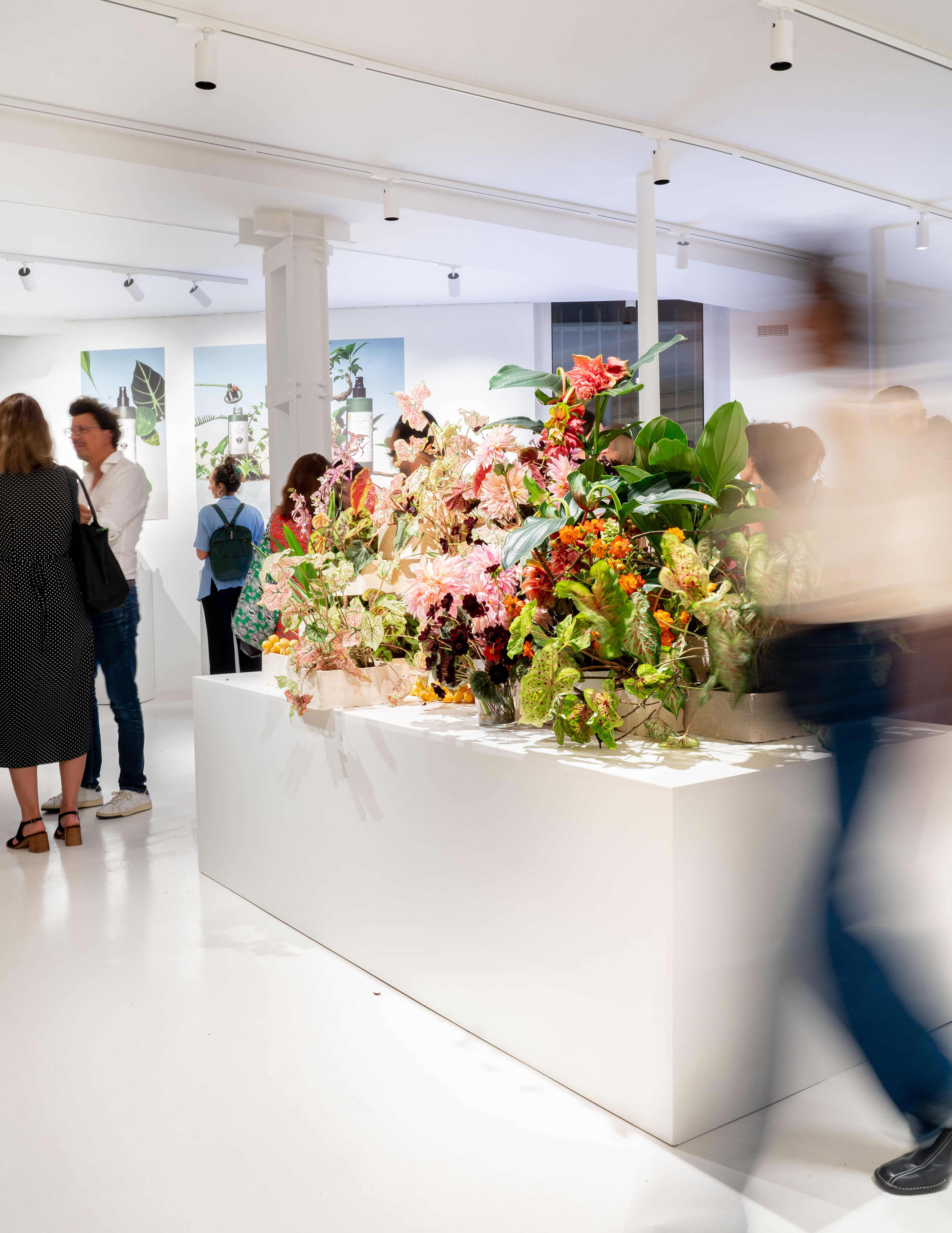 An extensive collection of flowers and plants presented nicely in the centre of the shop while the crowds surrounded it.