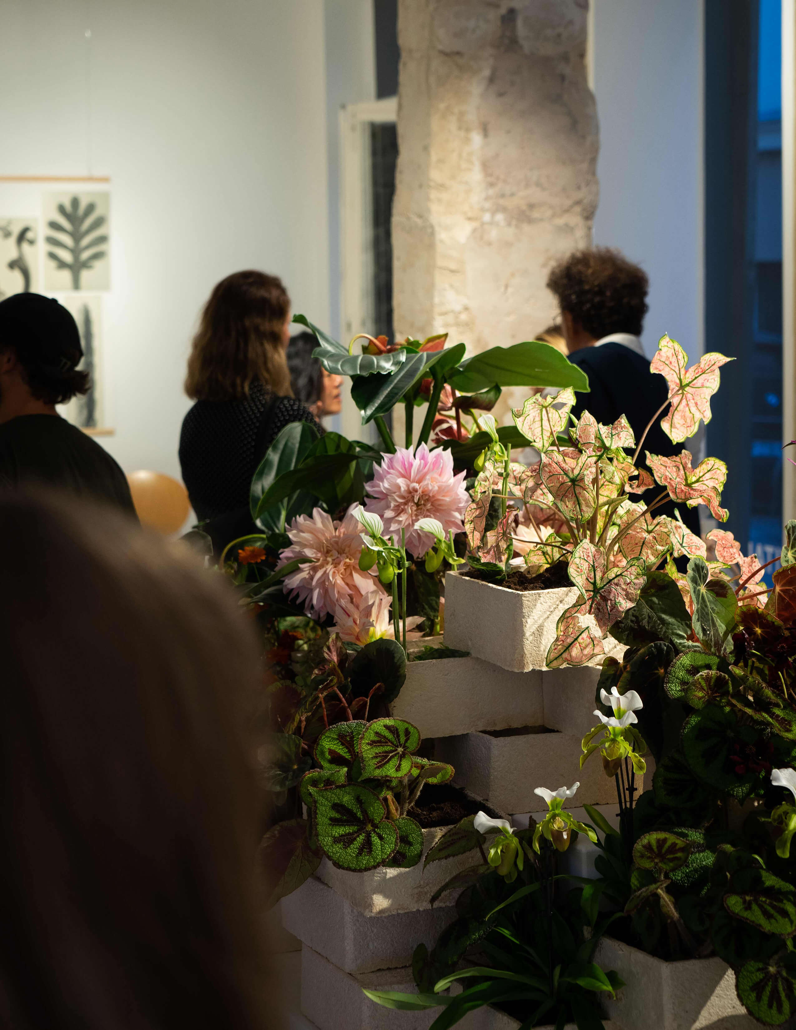 A collection of different plants and flowers, including Calladiums, Paphiopedilum spicerianums, Begonia massoniana ‘Rock’, and Dahlia Café au Lait in multiple white boxes while there are some people in the background.