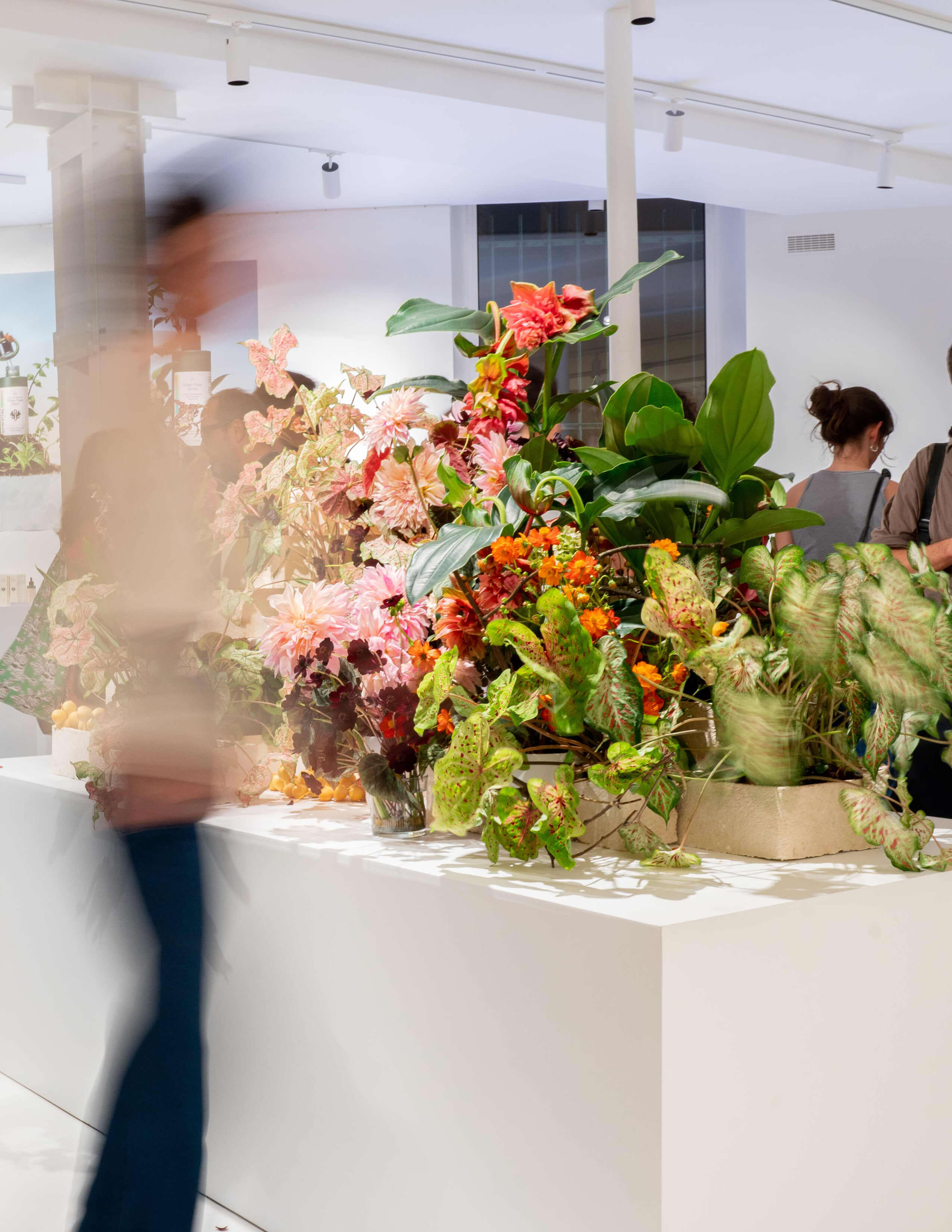 An extensive collection of different kinds of plants and flowers was presented on the cube desk while people were around it.