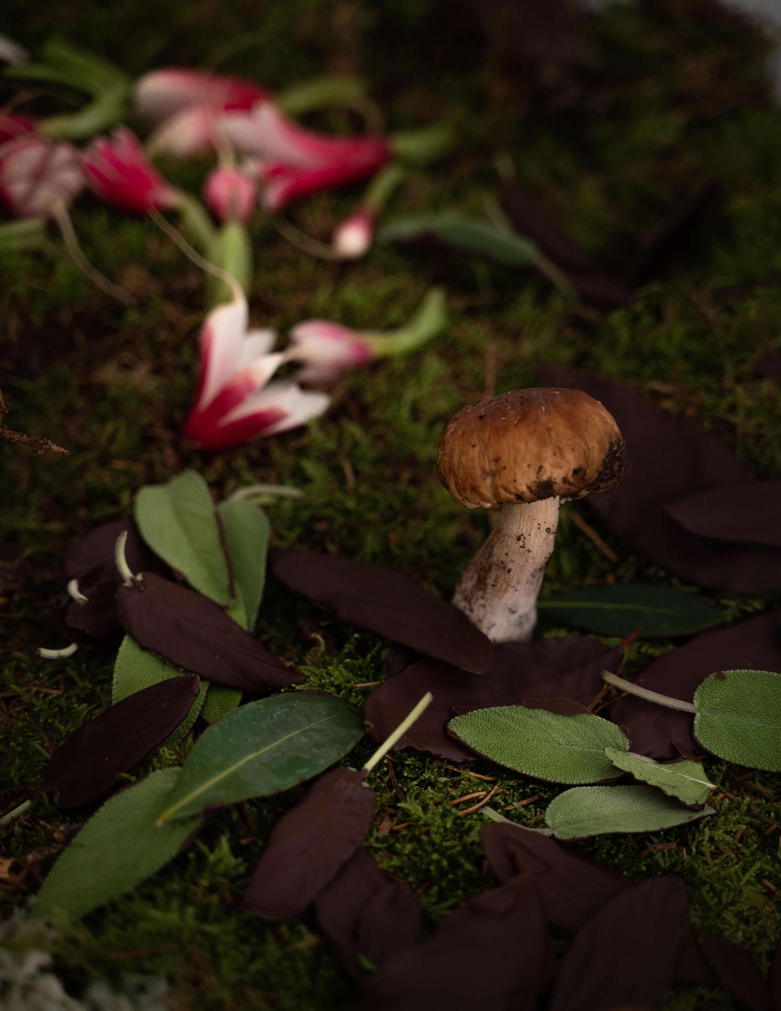 A mushroom stands out from a pile of different colours of leaves on the moss surface while there are some creative flower-like vegetable sculptures behind.