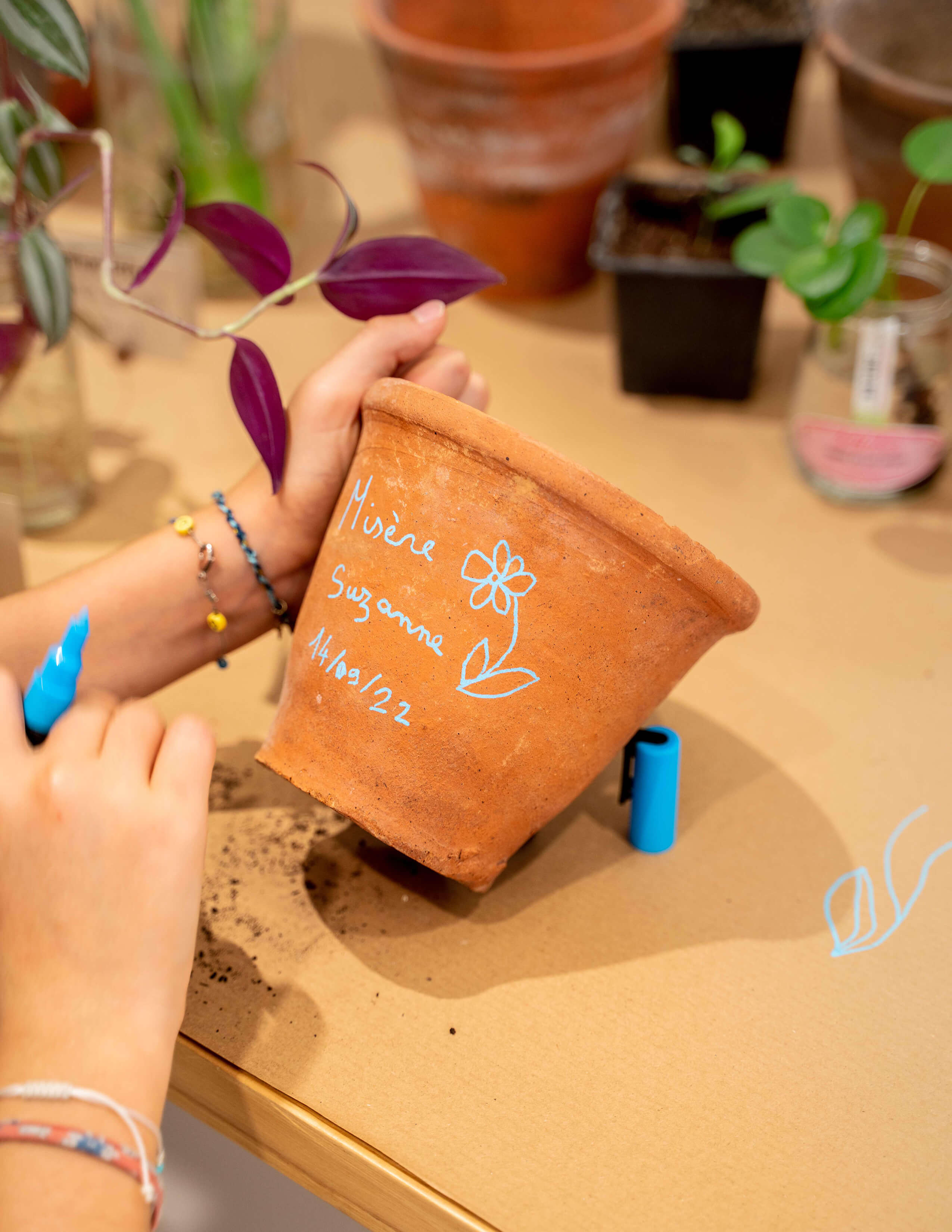 A terracotta pot is written with names on it in light blue ink marker on the table while surrounded by different plants.