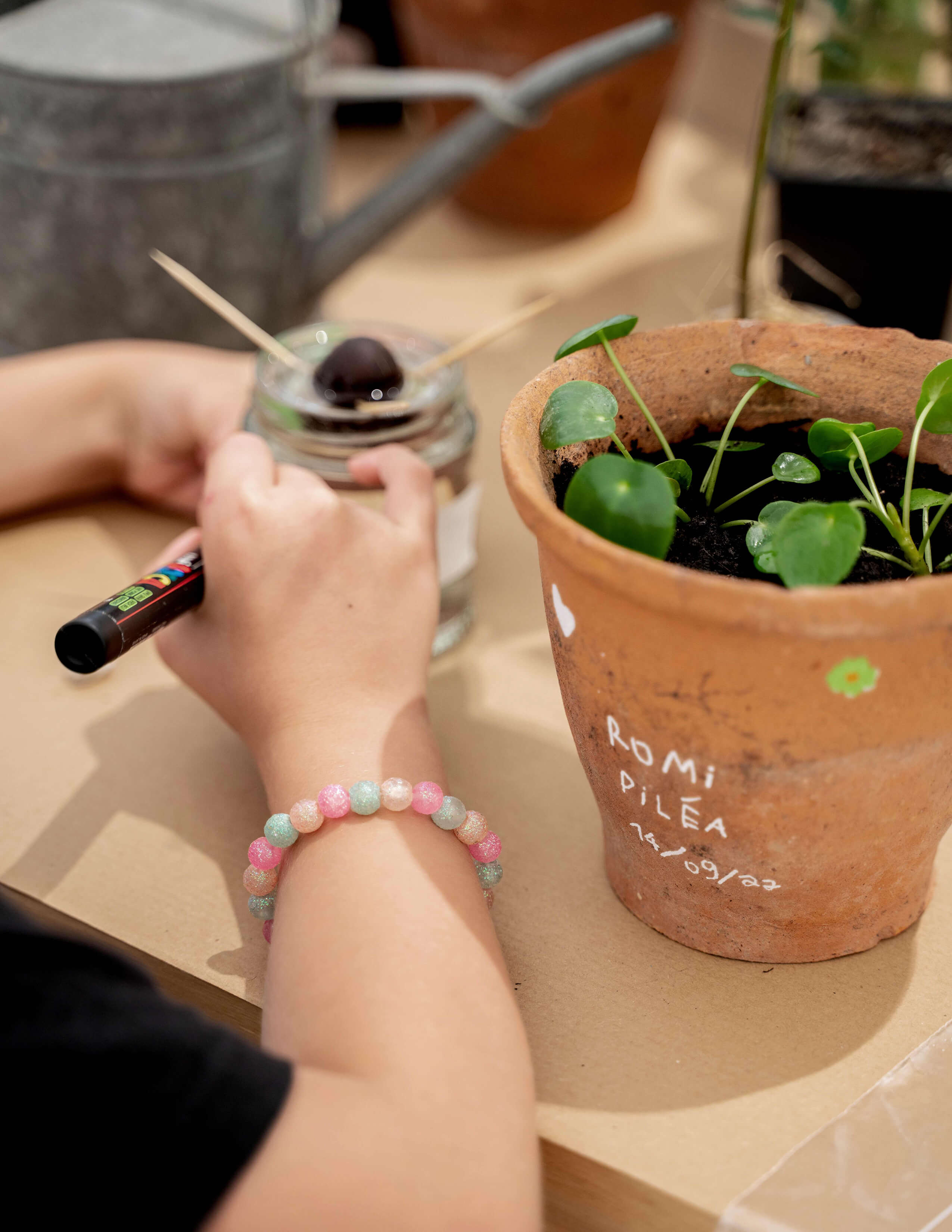A pair of hands held a pen on the table writing something on the jar with an avocado seed on it while there was a potted plant with names on it next to it.