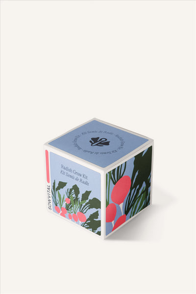 Sowvital's Radish Seed Grow Kit from a corner angle. A square fedrigoni paper box with a playful illustration of radishes on the front and sides. The background is beige.