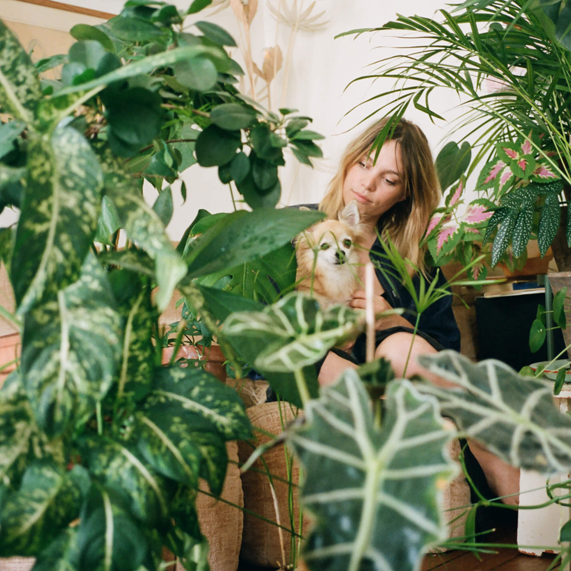 A woman and her dog are sat in her home surrounded by lots of large, healthy houseplants.