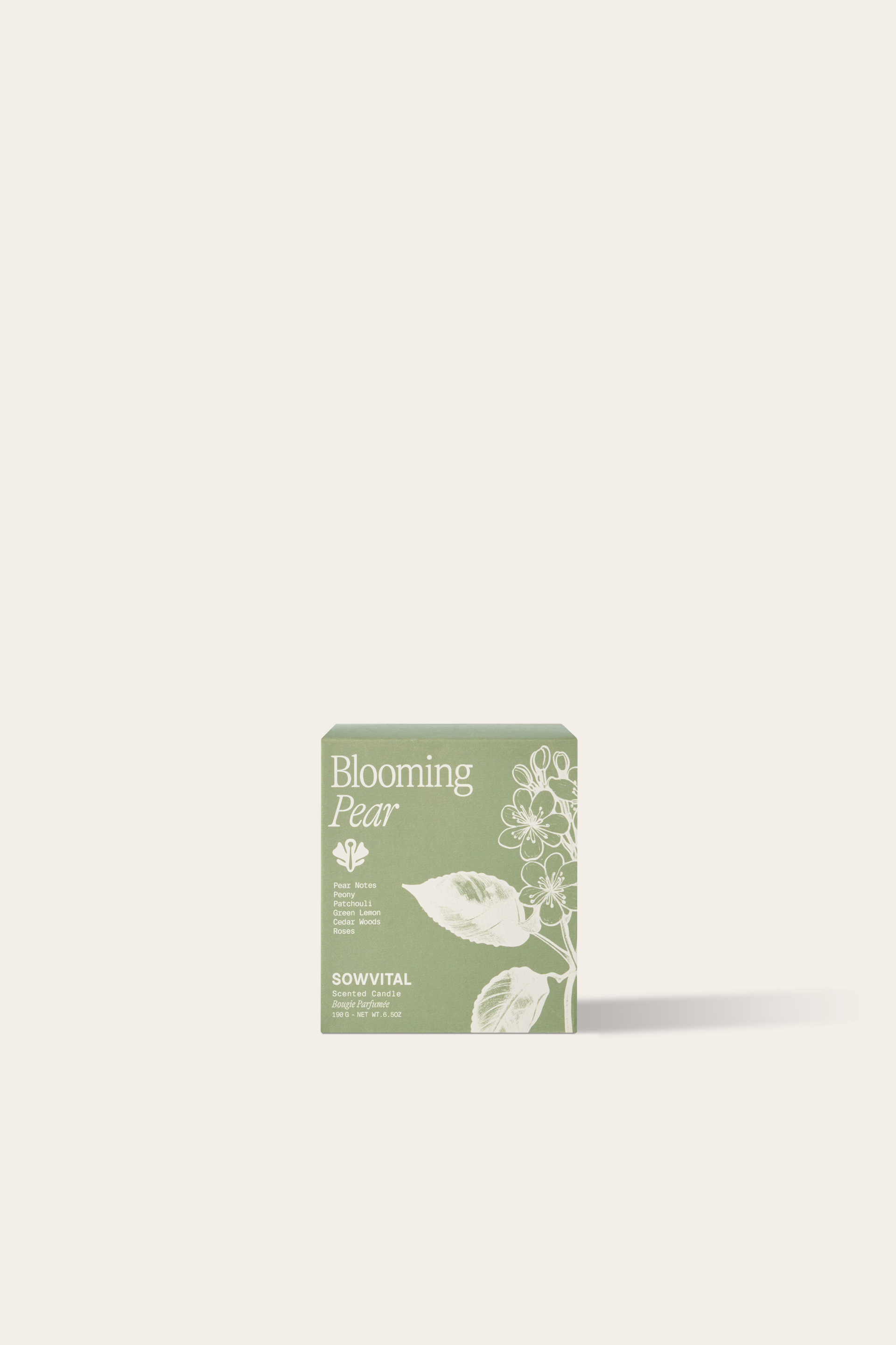 A square, green fedrigoni paper box with a beige illustration of plants on the front.