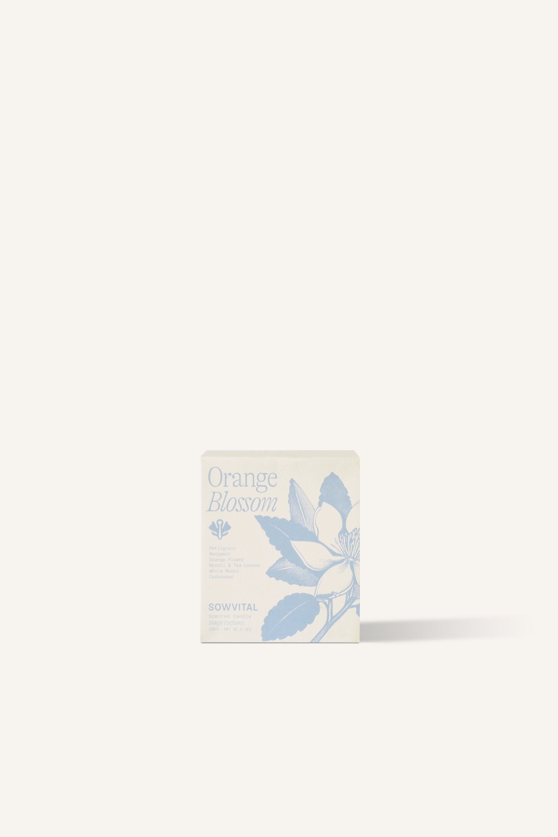 A square, beige fedrigoni paper box with a blue illustration of plants on the front.