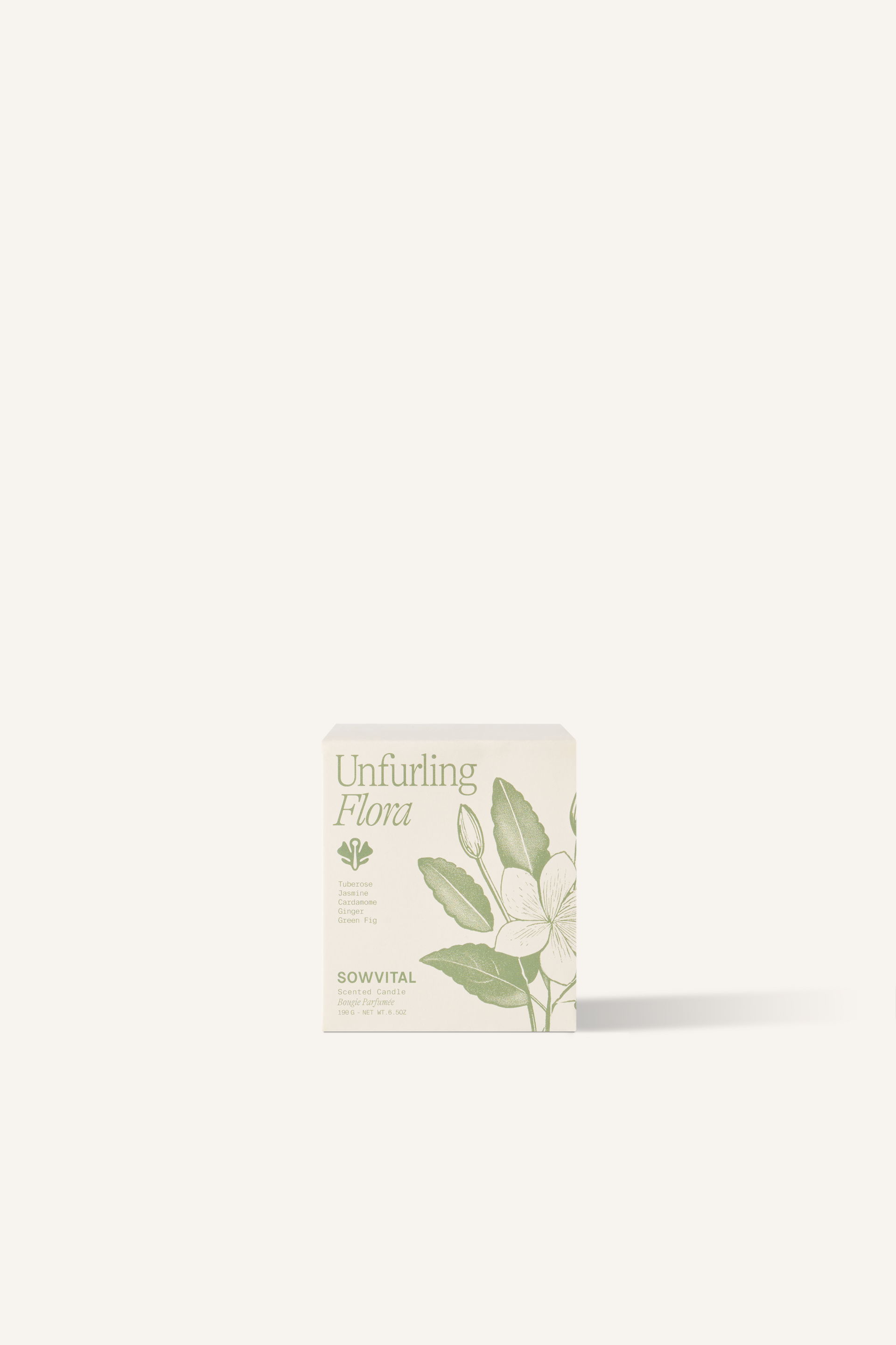 A square, beige fedrigoni paper box with a green illustration of plants on the front.