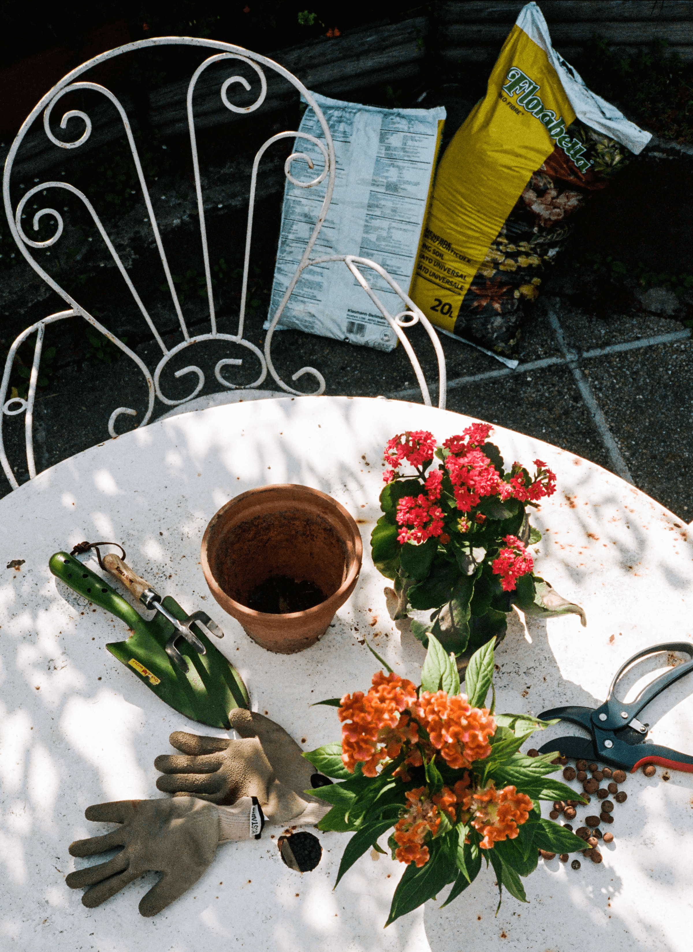 Two pots of flowers, an empty terracotta pot, gardening tools and a pair of gloves on the white table and white chair in the garden. There are two bags of soil for plants on the floor.